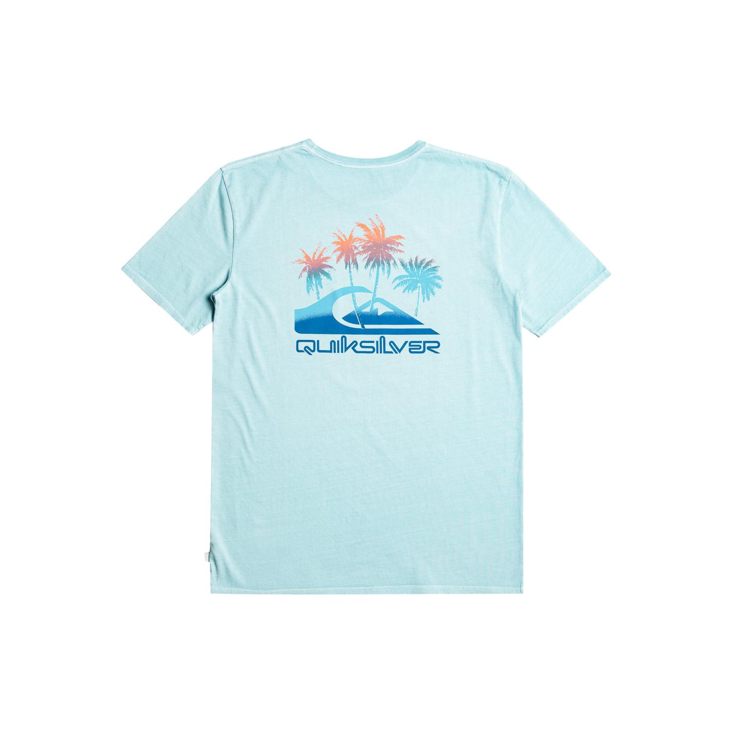 Quiksilver Pastimeparadise Erkek Mavi Tişört