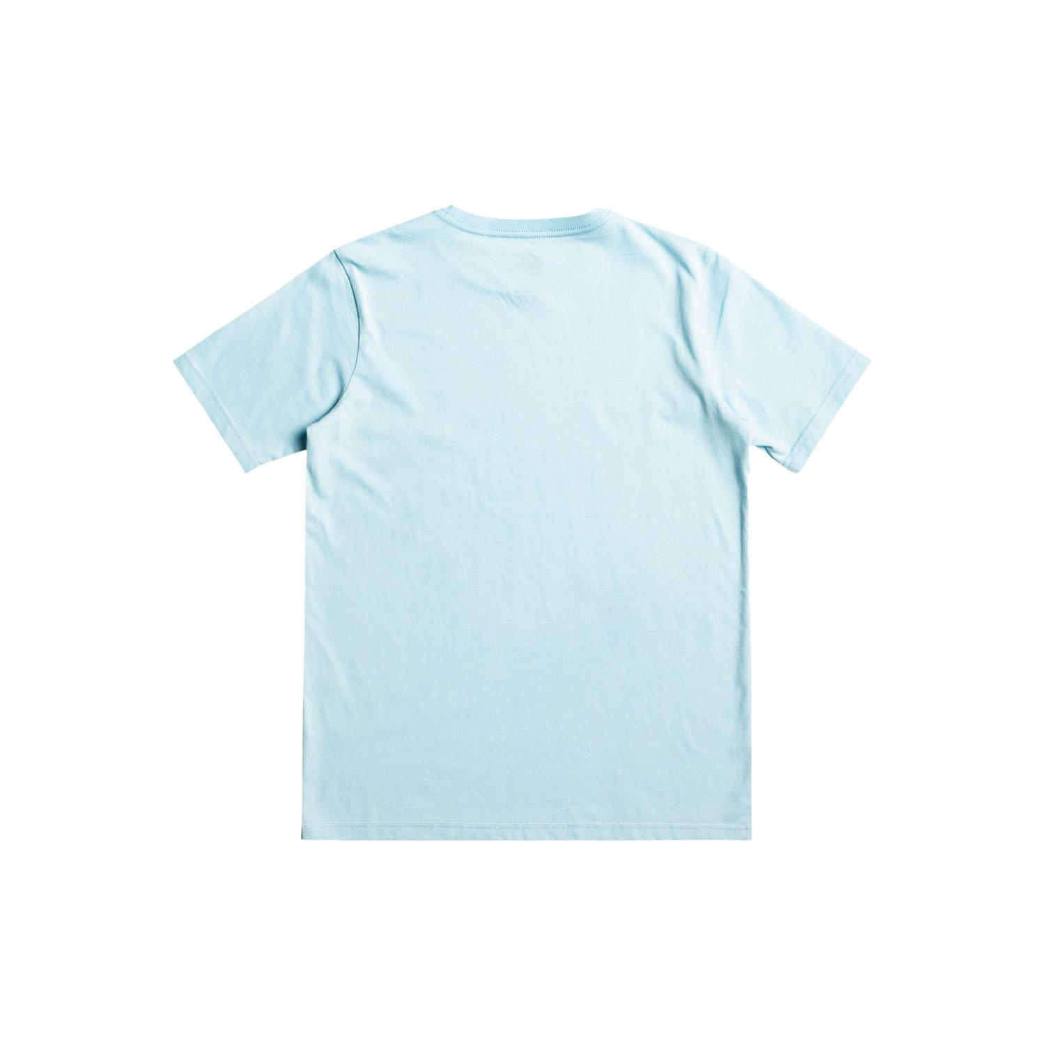 Quiksilver Qs Surf Lockup Erkek Çocuk Tişört