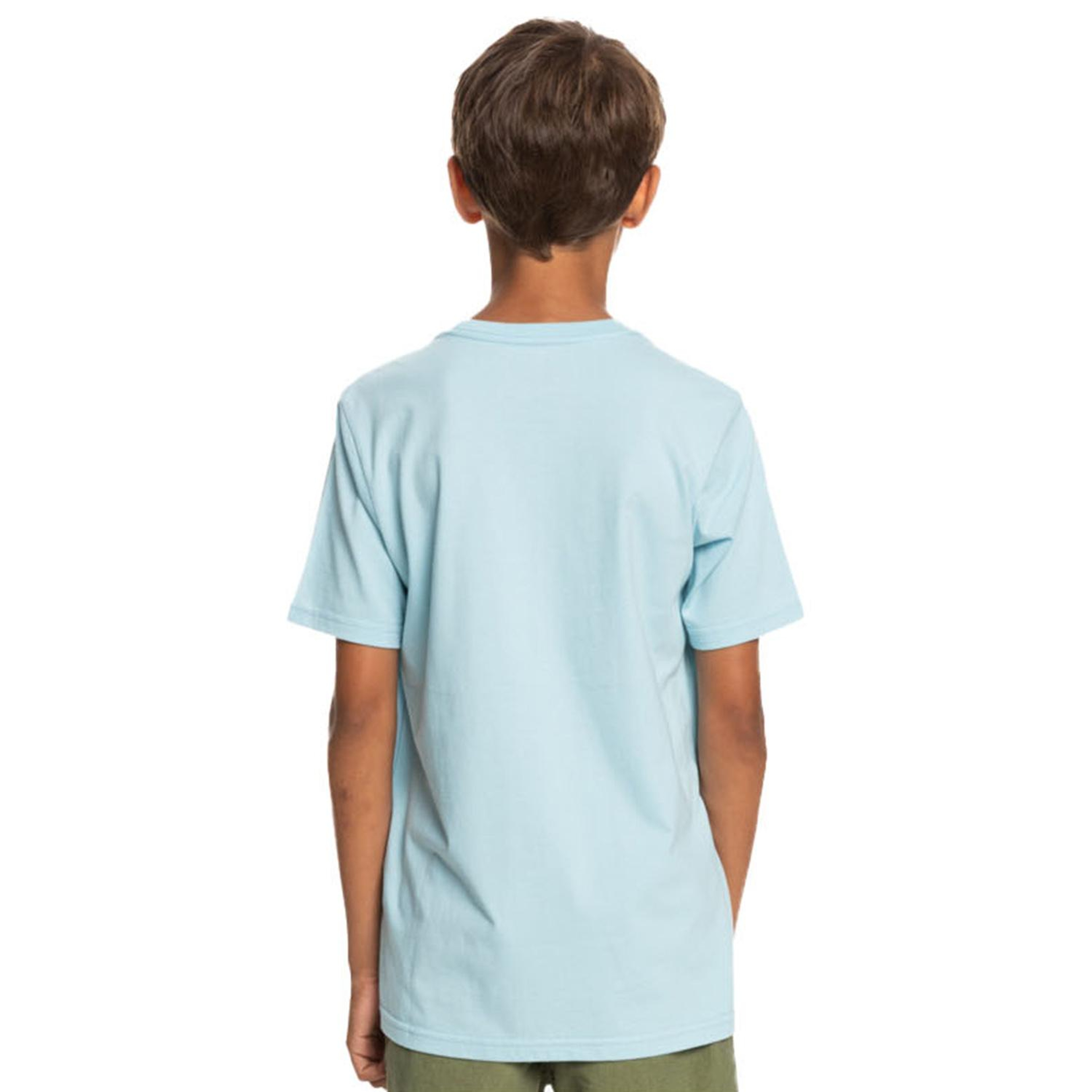 Quiksilver Qs Surf Lockup Erkek Çocuk Tişört