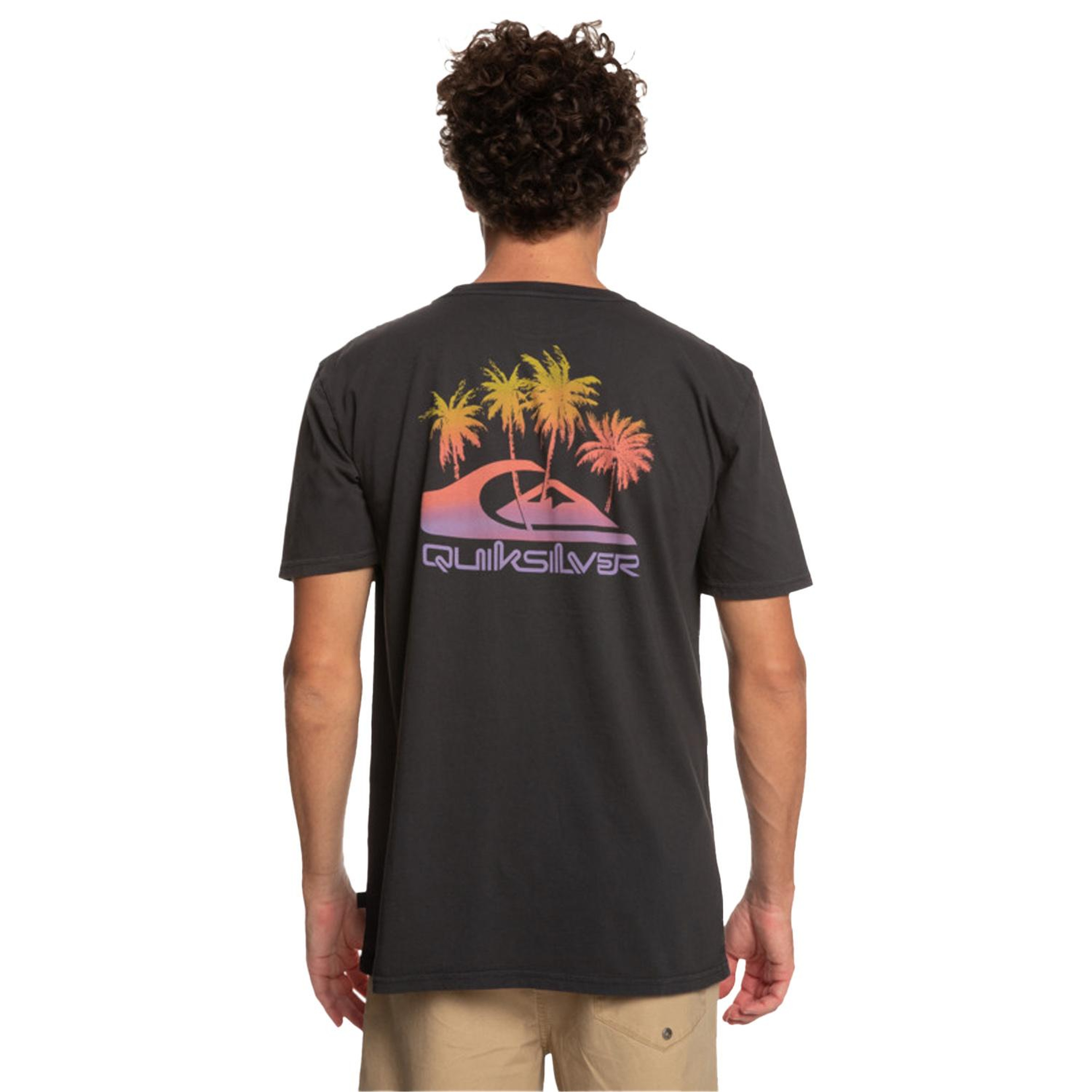 Quiksilver Pastimeparadise Erkek Siyah Tişört