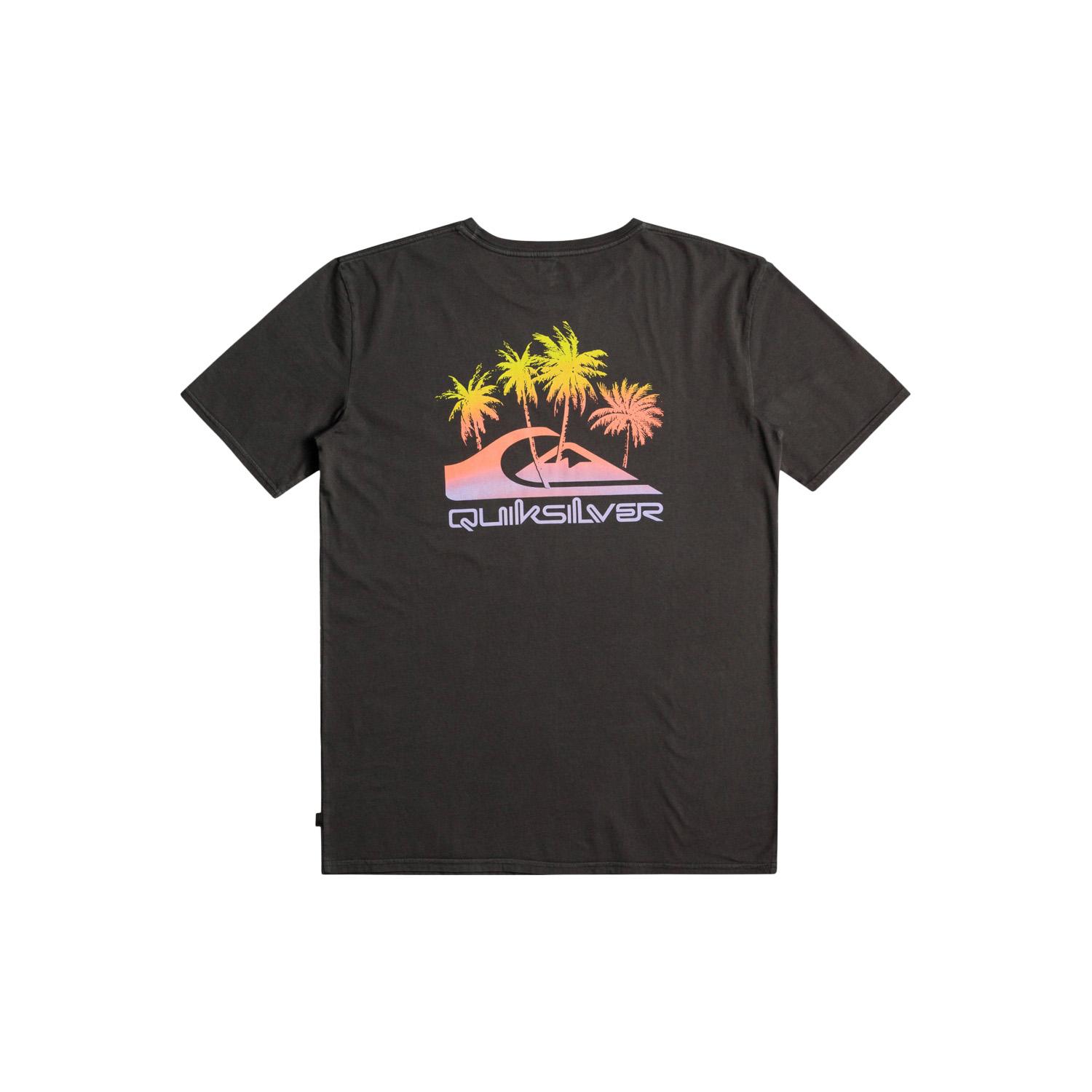 Quiksilver Pastimeparadise Erkek Siyah Tişört