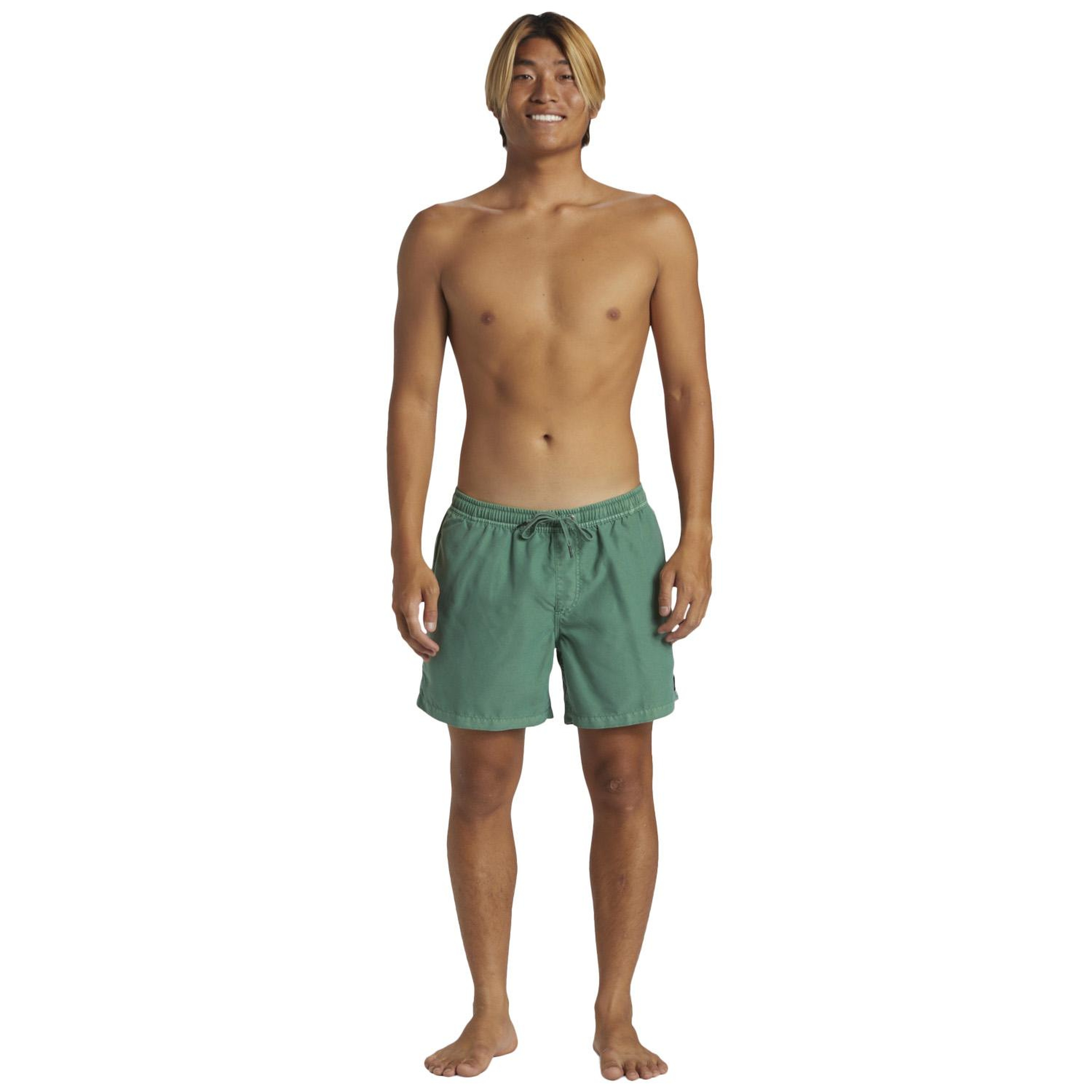 Quiksilver Everyday Surfwash Volley 15 Erkek Volley