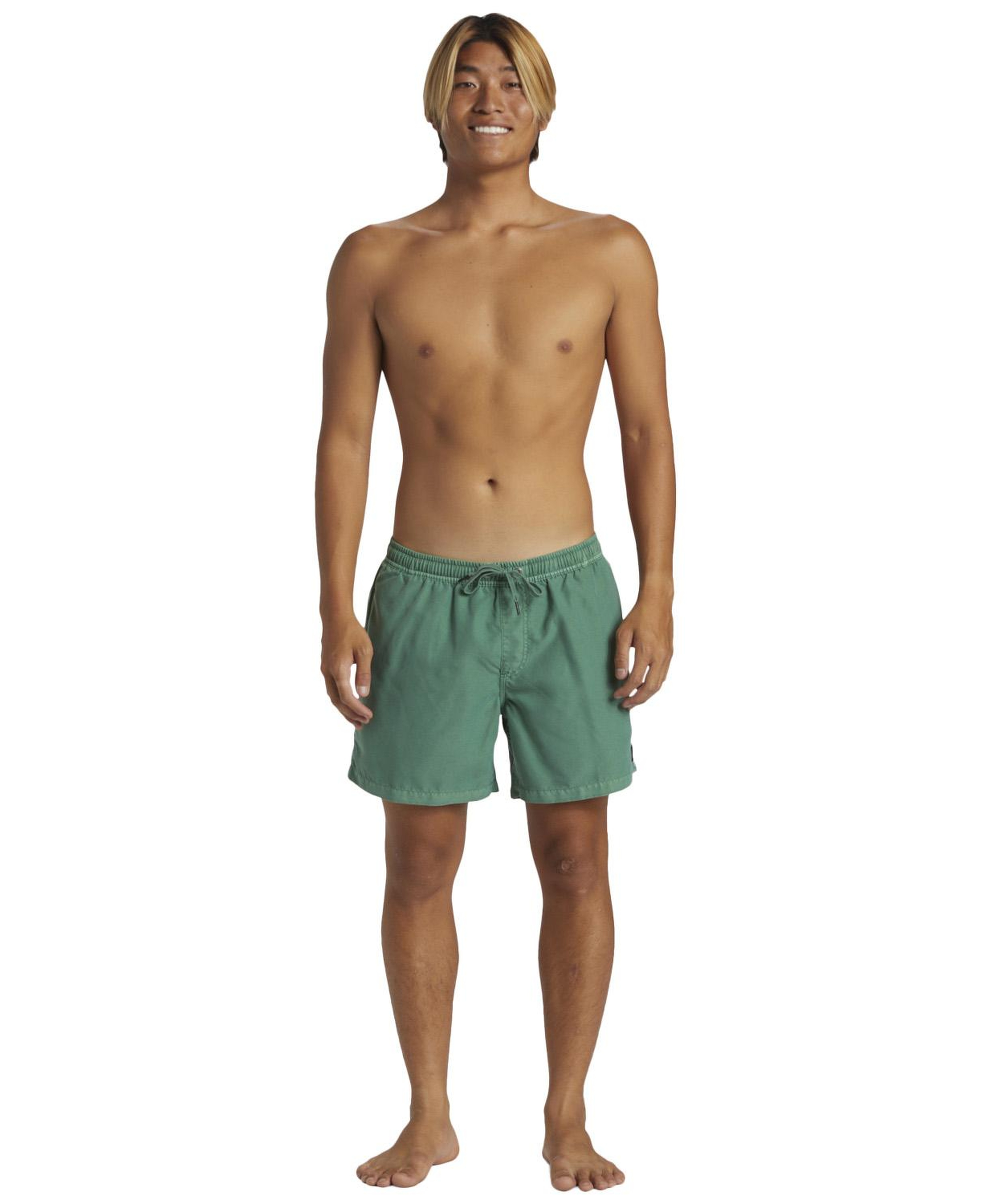 Quiksilver Everyday Surfwash Volley 15 Erkek Volley