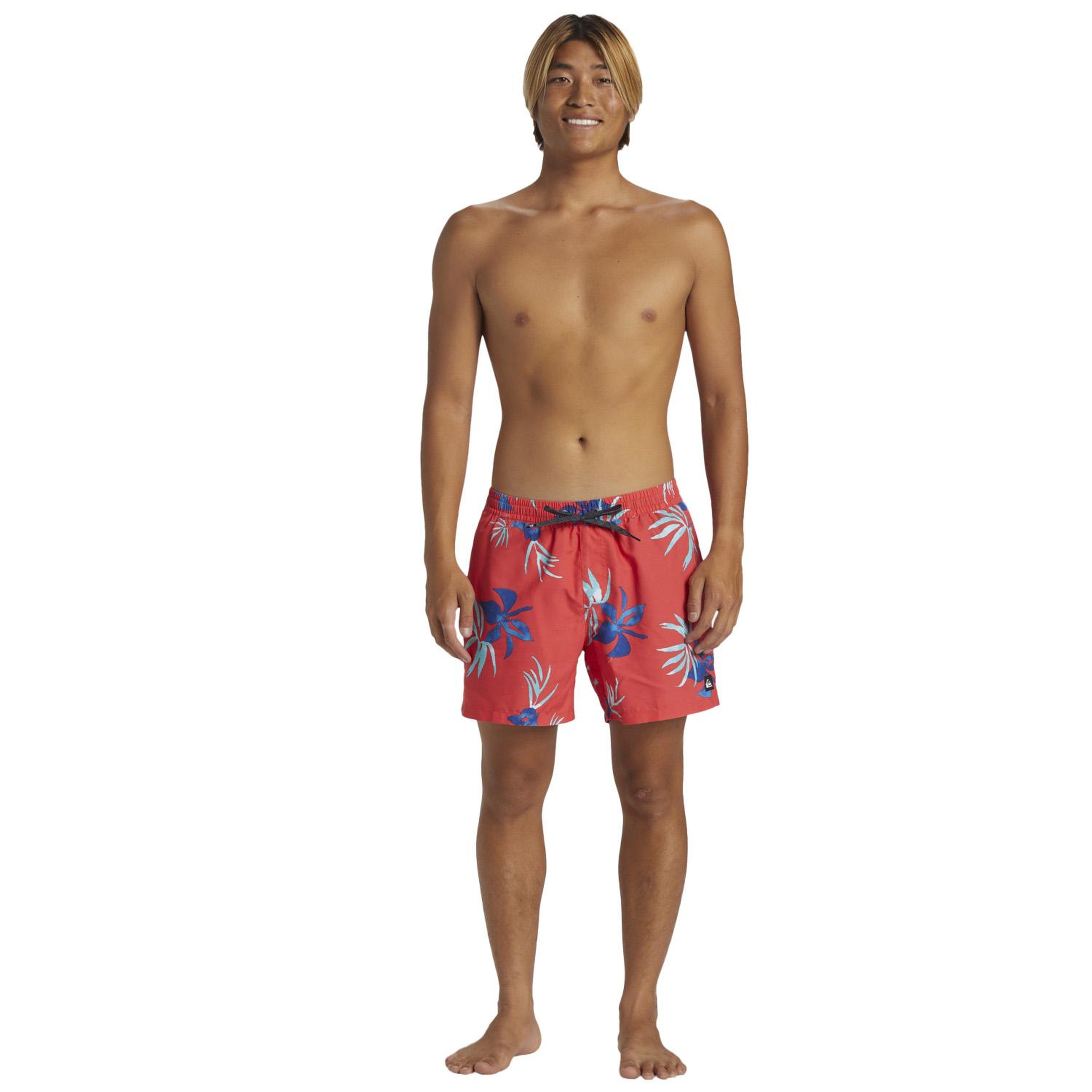 Quiksilver Everyday Mix Volley 15 Erkek Volley