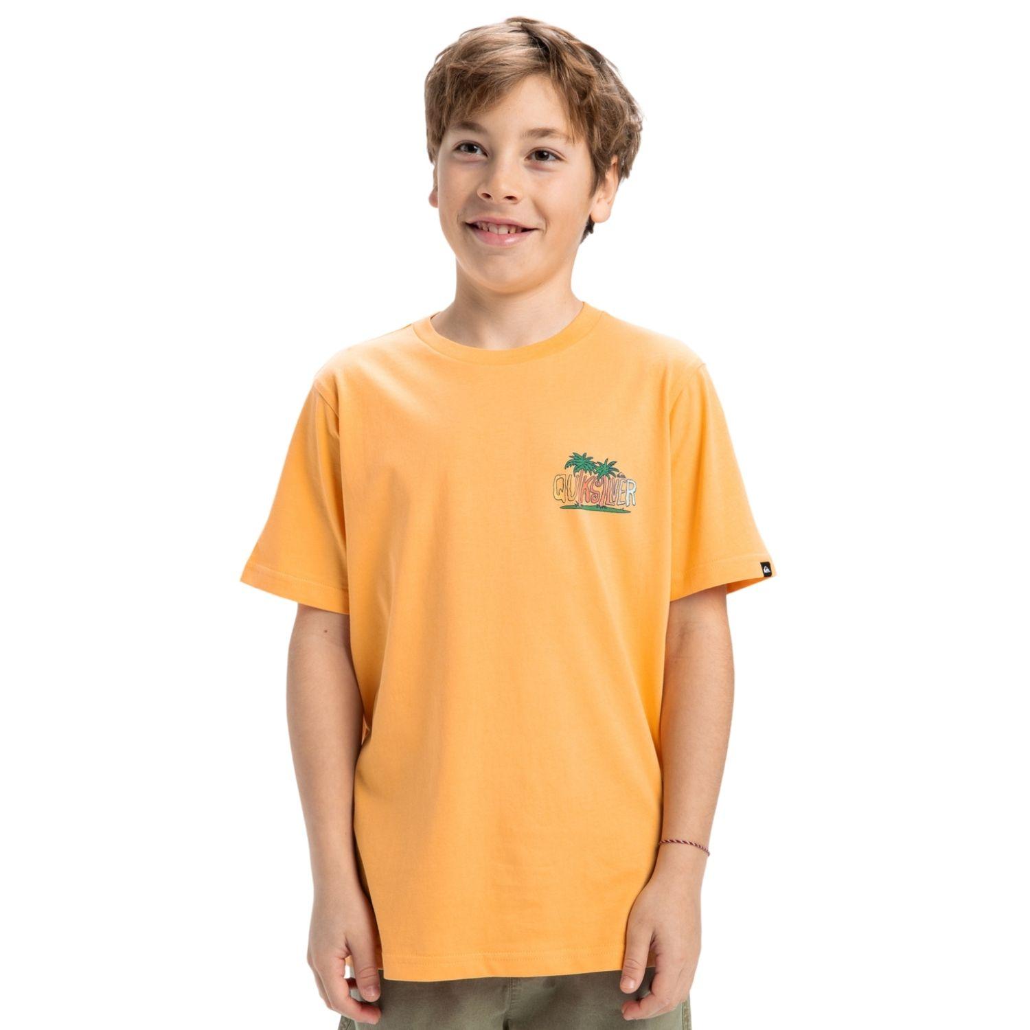 Quiksilver Ev Sunny Palms Erkek Çocuk Tişört