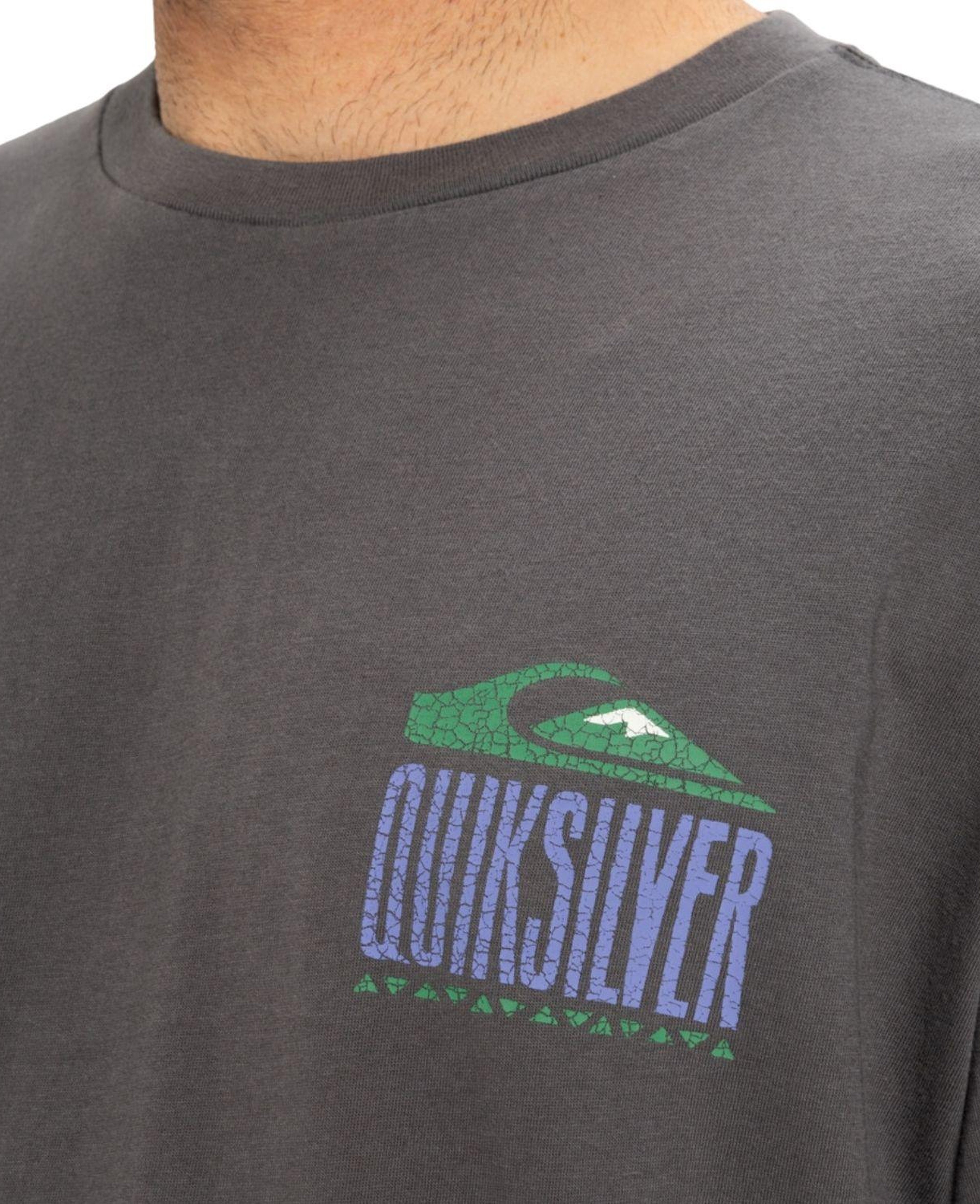 Quiksilver Gh Qs World Force Erkek Gri Tişört