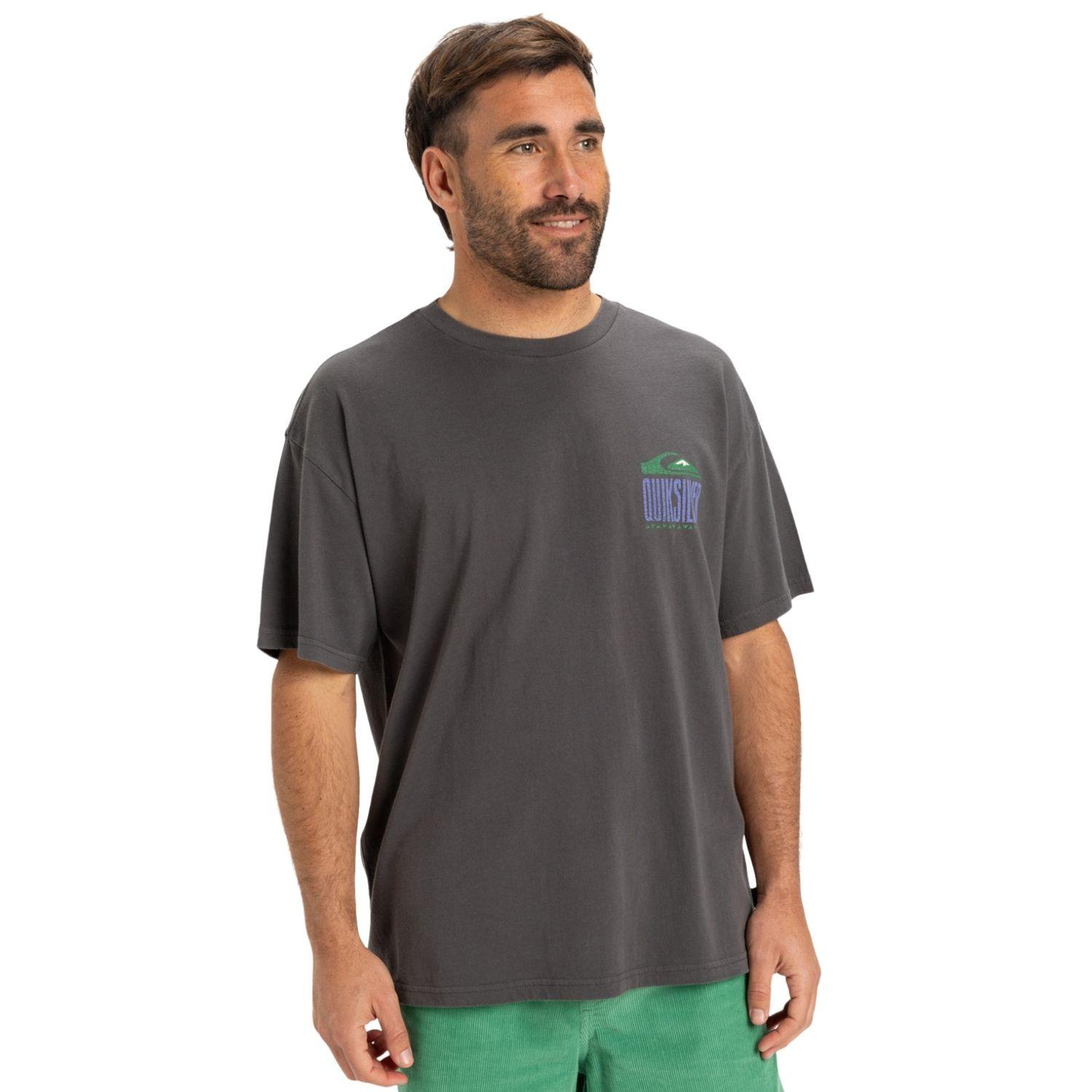 Quiksilver Gh Qs World Force Erkek Gri Tişört