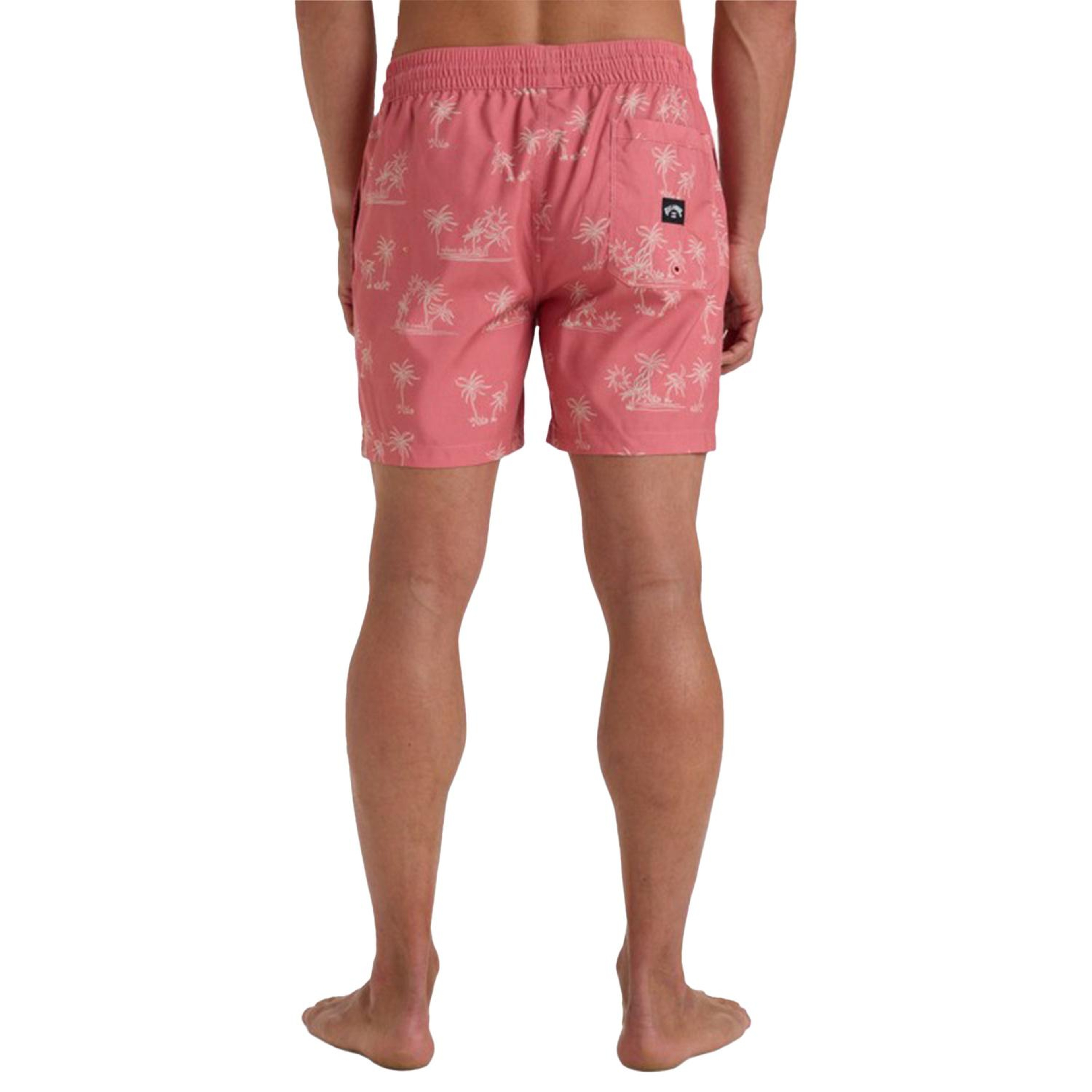 Billabong Vacay Lb Erkek Pembe Volley Short