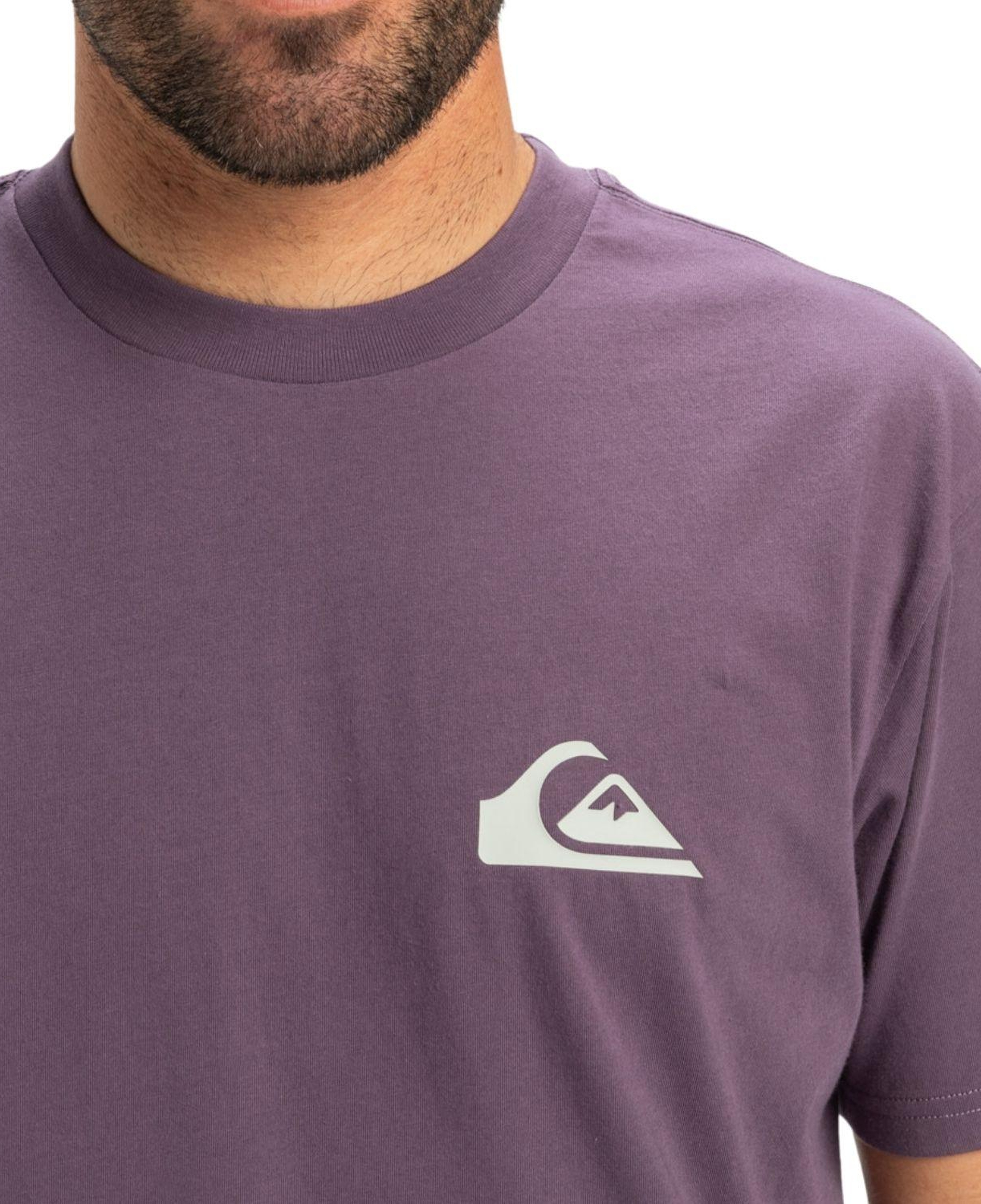 Quiksilver Ev Mini Logo Erkek Tişört