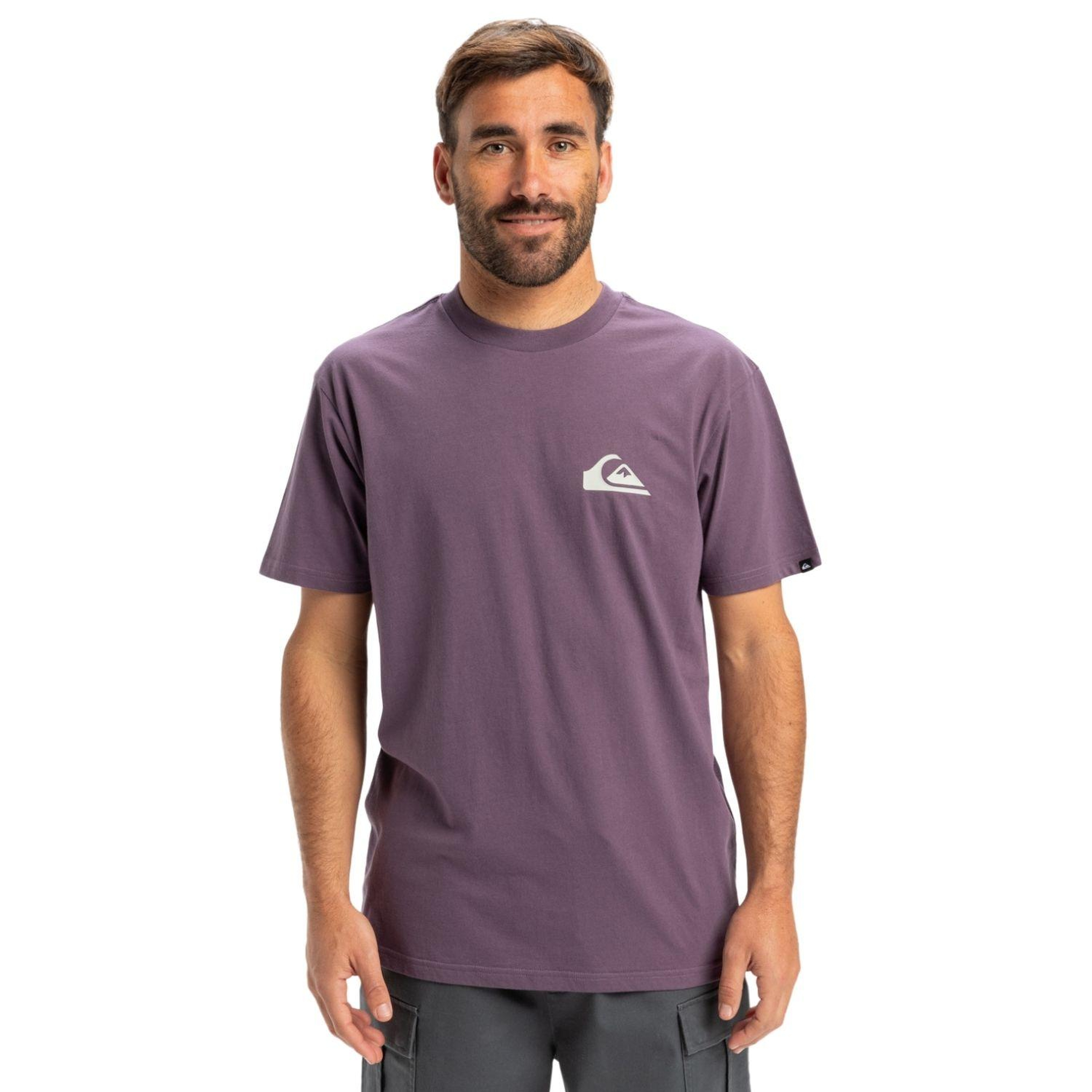 Quiksilver Ev Mini Logo Erkek Tişört