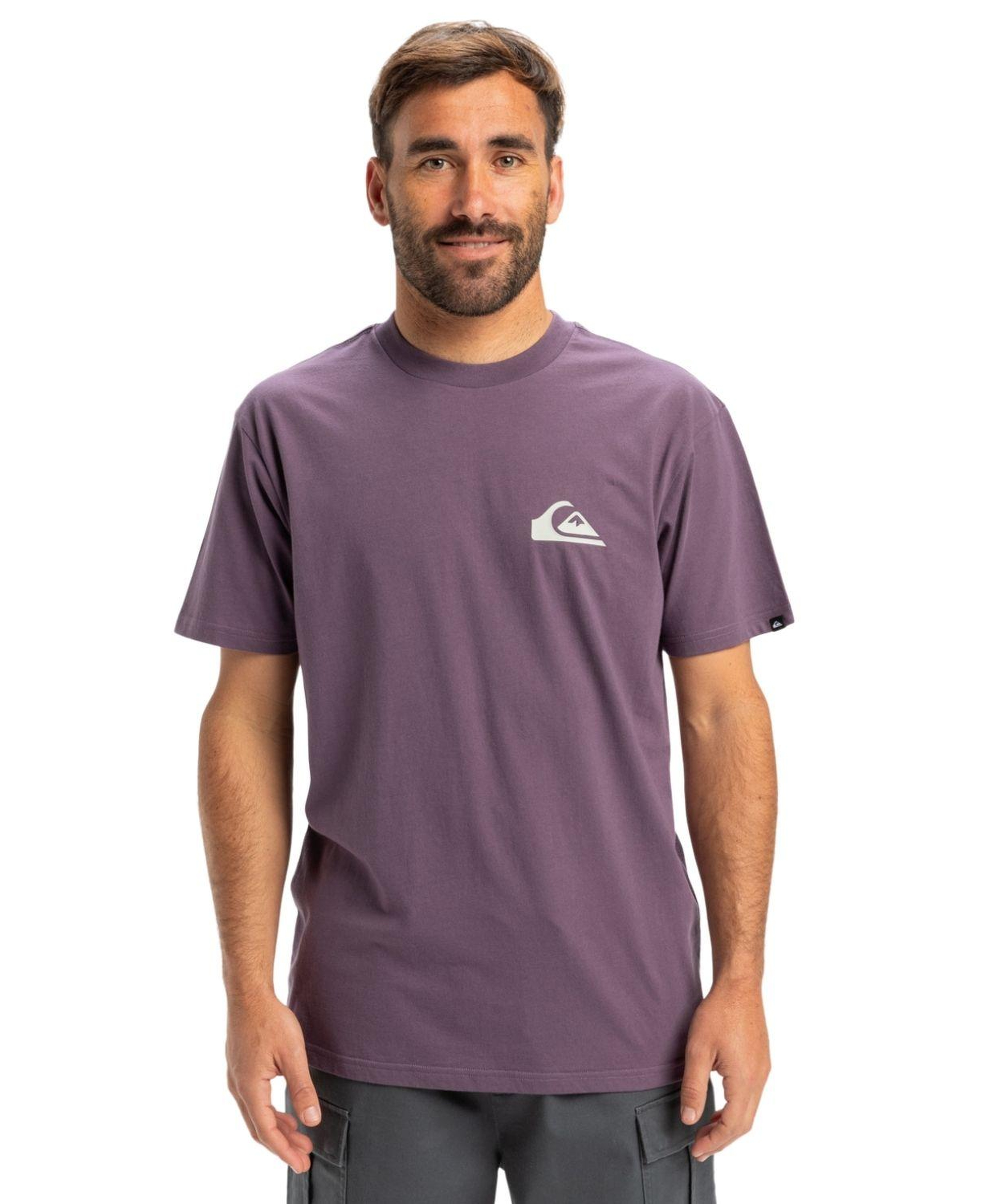 Quiksilver Ev Mini Logo Erkek Tişört