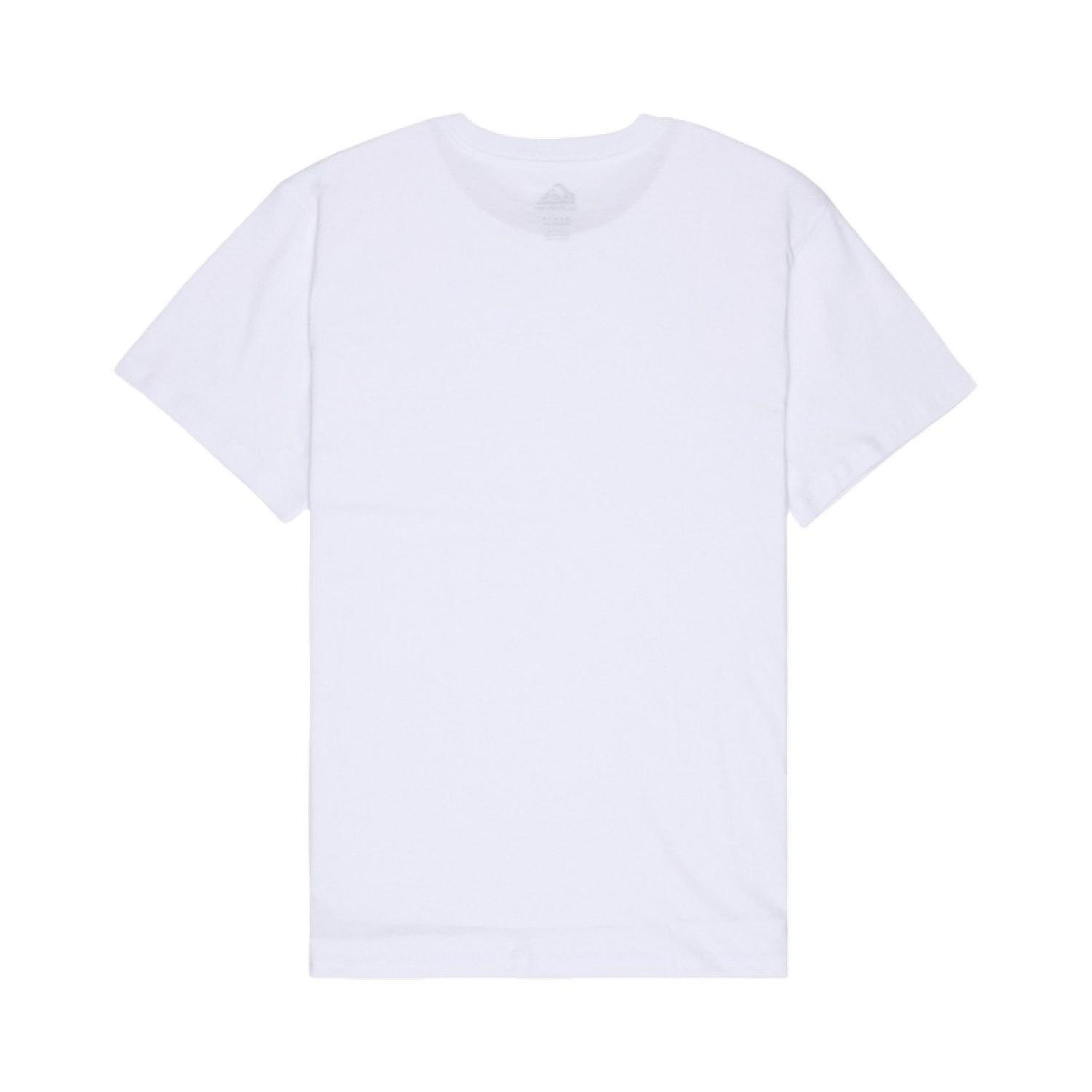 Quiksilver Ev Horizon Fade Erkek Beyaz Tişört