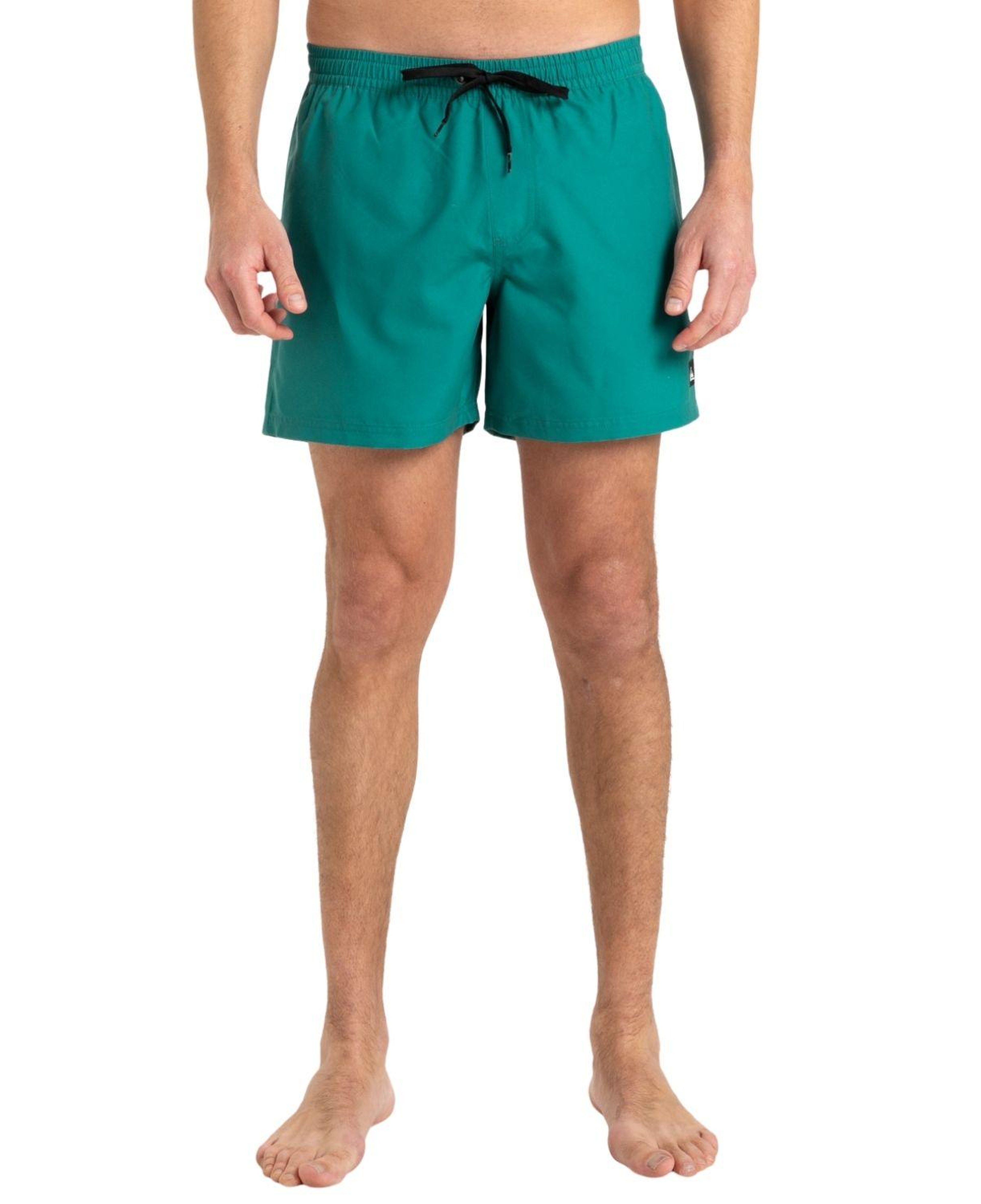 Quiksilver Everyday 15 Erkek Yeşil Volley Short