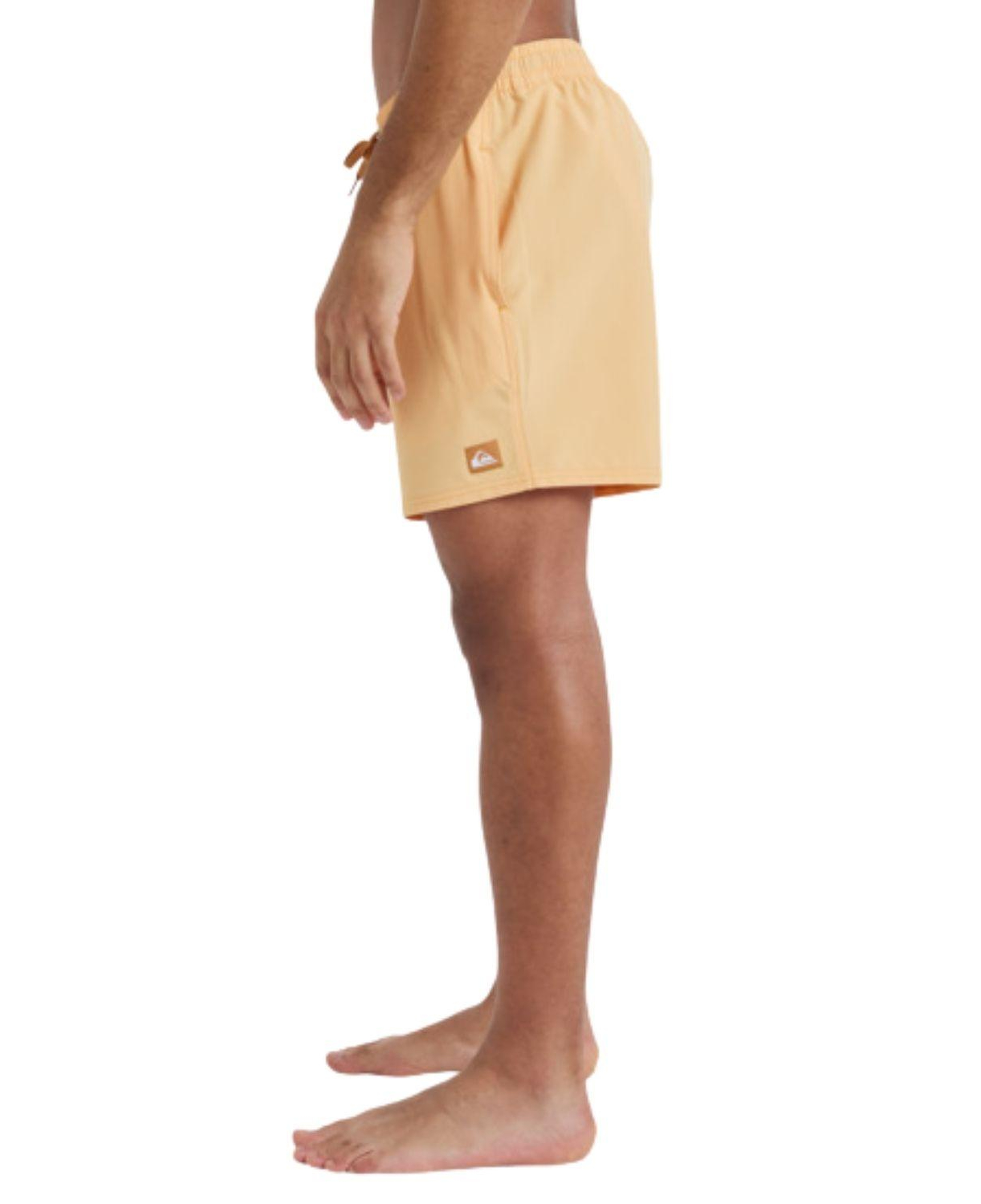 Quiksilver Surfsilk Solid Volley 16 Erkek Volley
