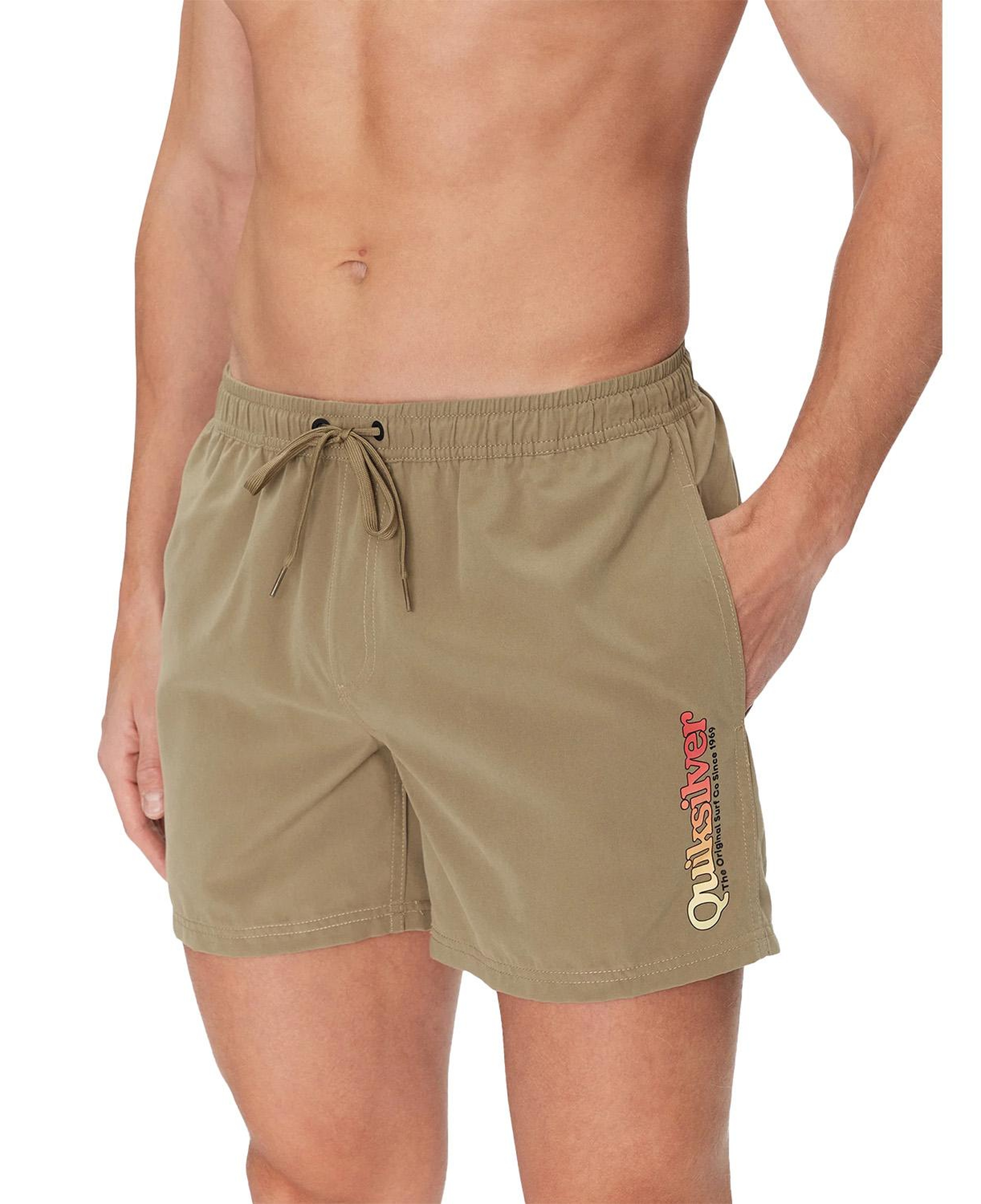Quiksilver Spl Fineline Volley 15 Erkek Yeşil Volley Short