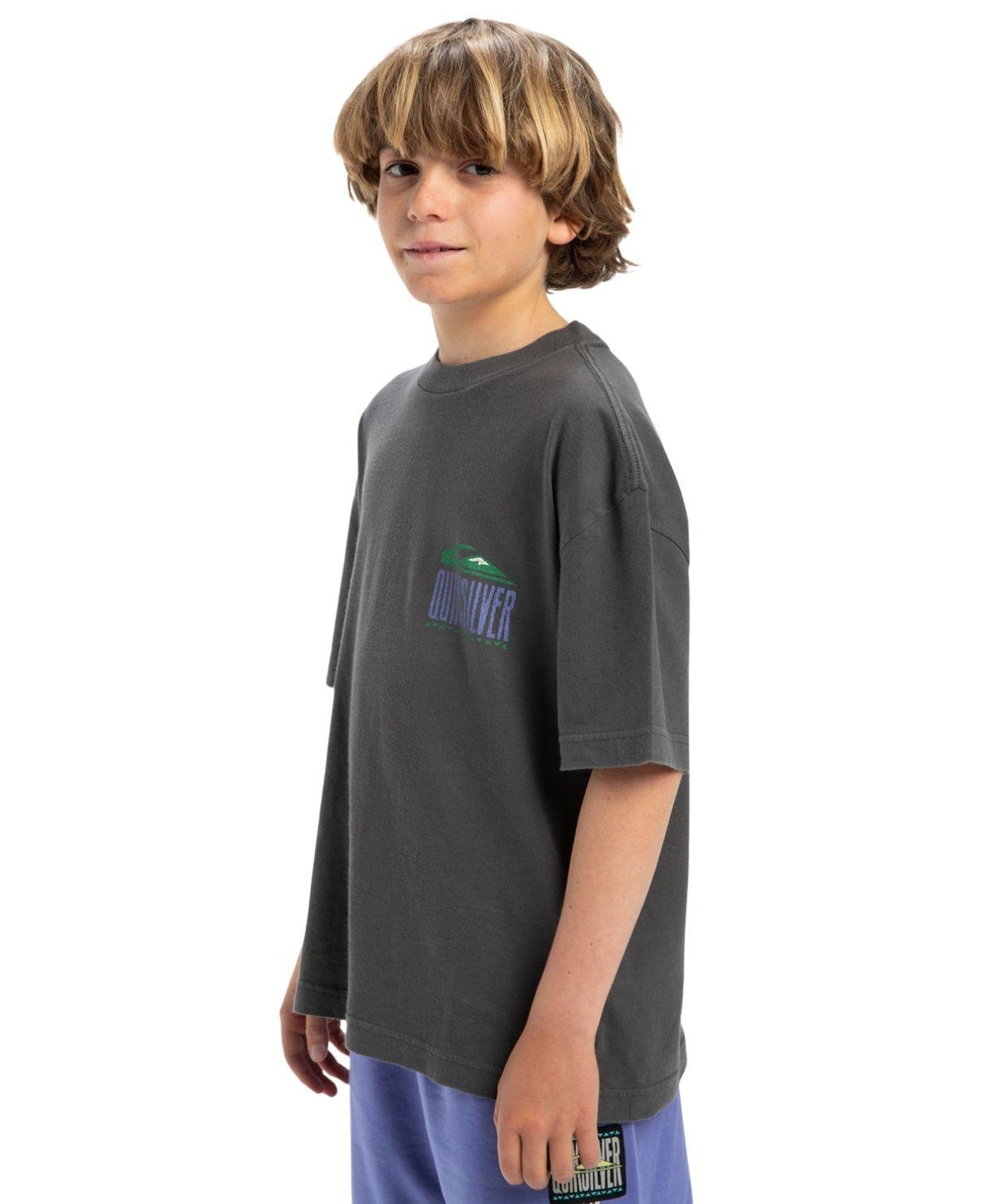 Quiksilver Gh Qs World Force Erkek Çocuk Gri Tişört