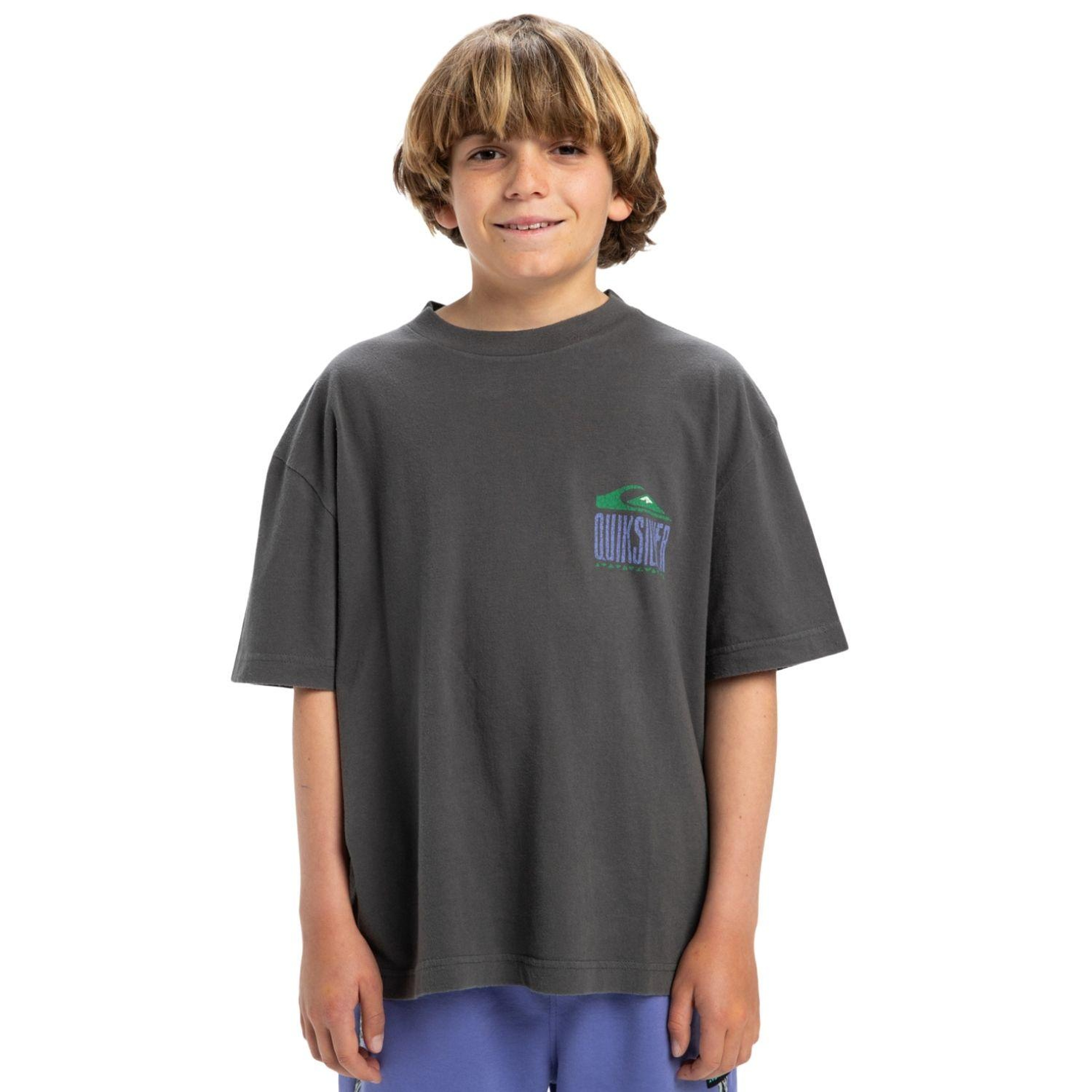 Quiksilver Gh Qs World Force Erkek Çocuk Gri Tişört