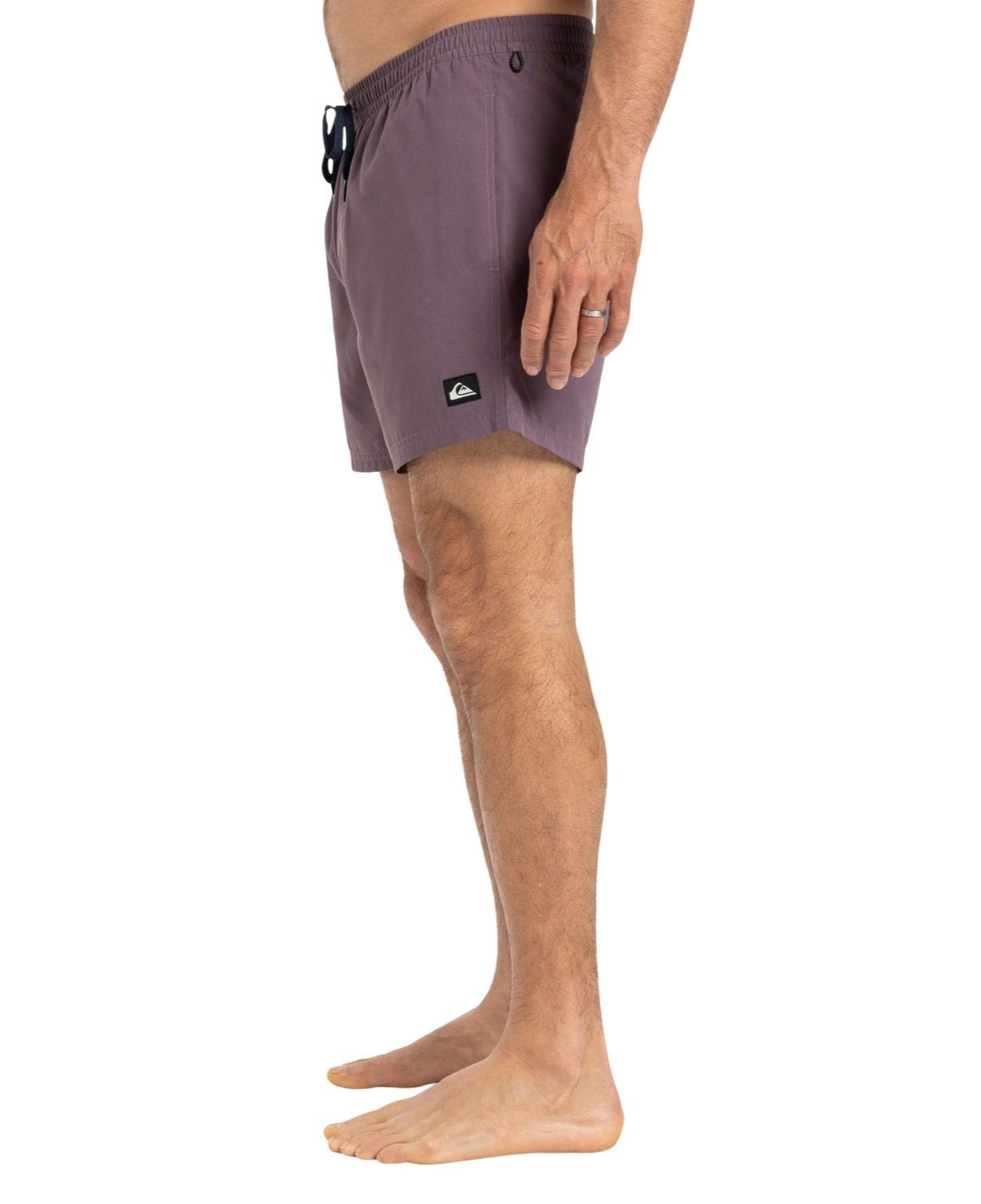 Quiksilver Everyday 15 Erkek Mor Volley Short