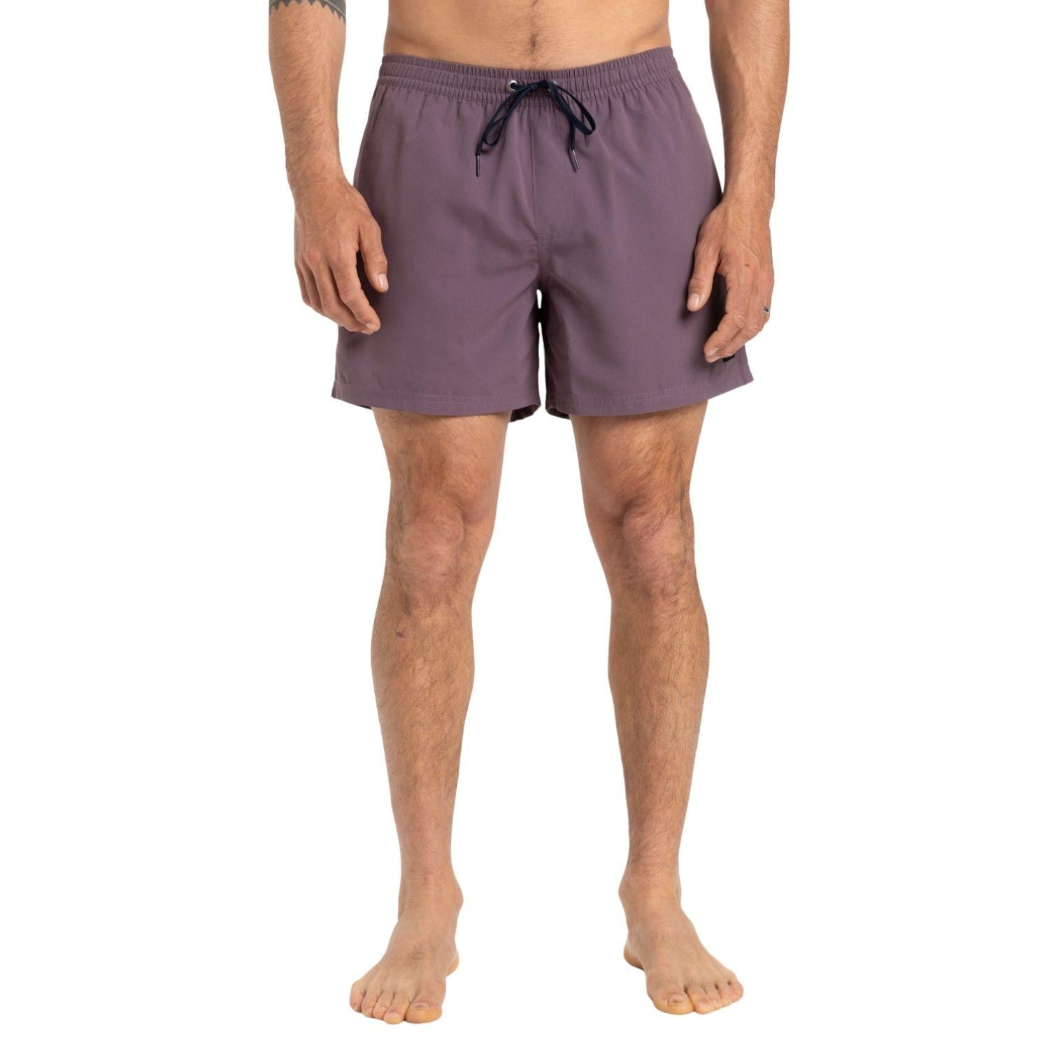Quiksilver Everyday 15 Erkek Mor Volley Short