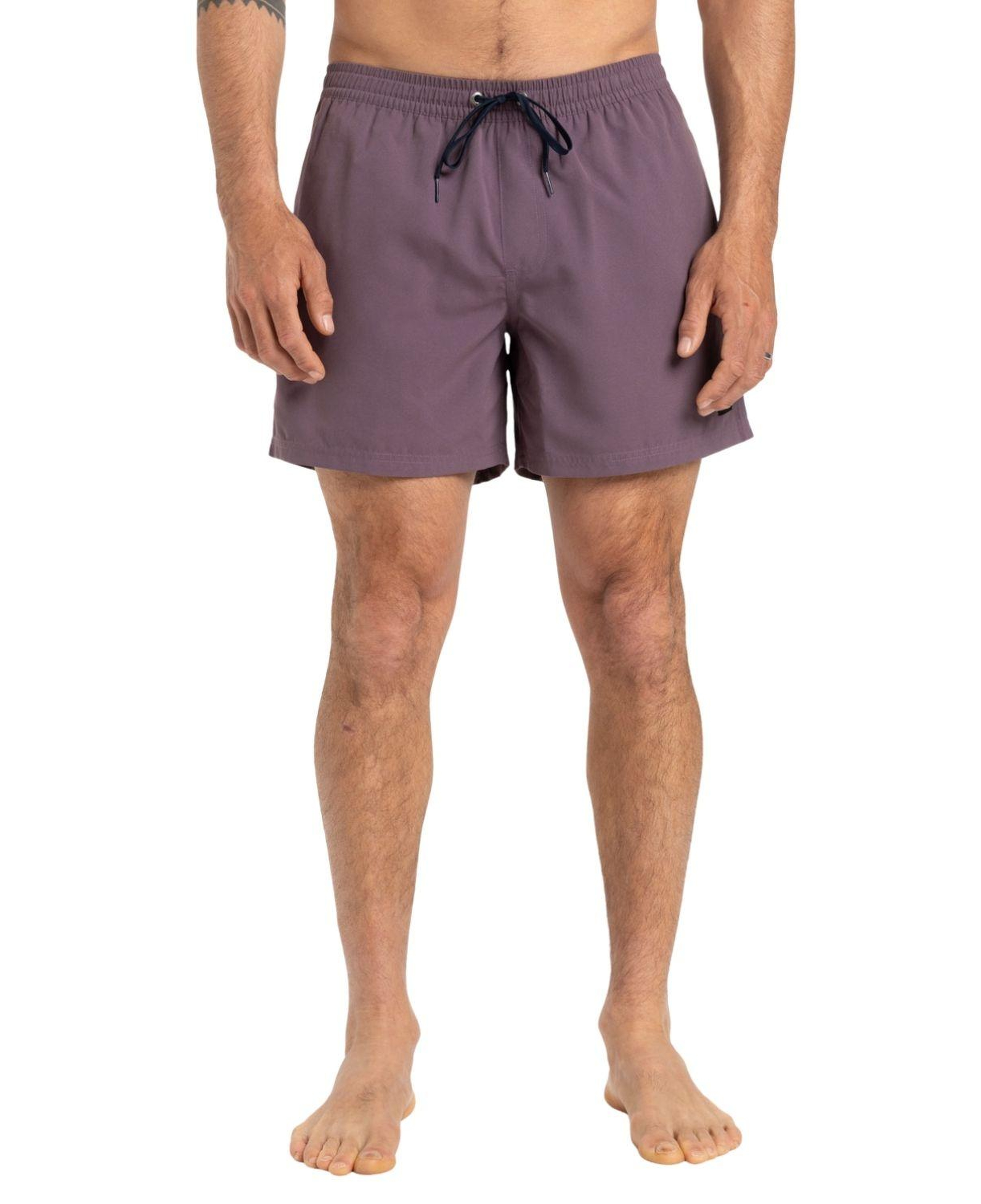 Quiksilver Everyday 15 Erkek Mor Volley Short