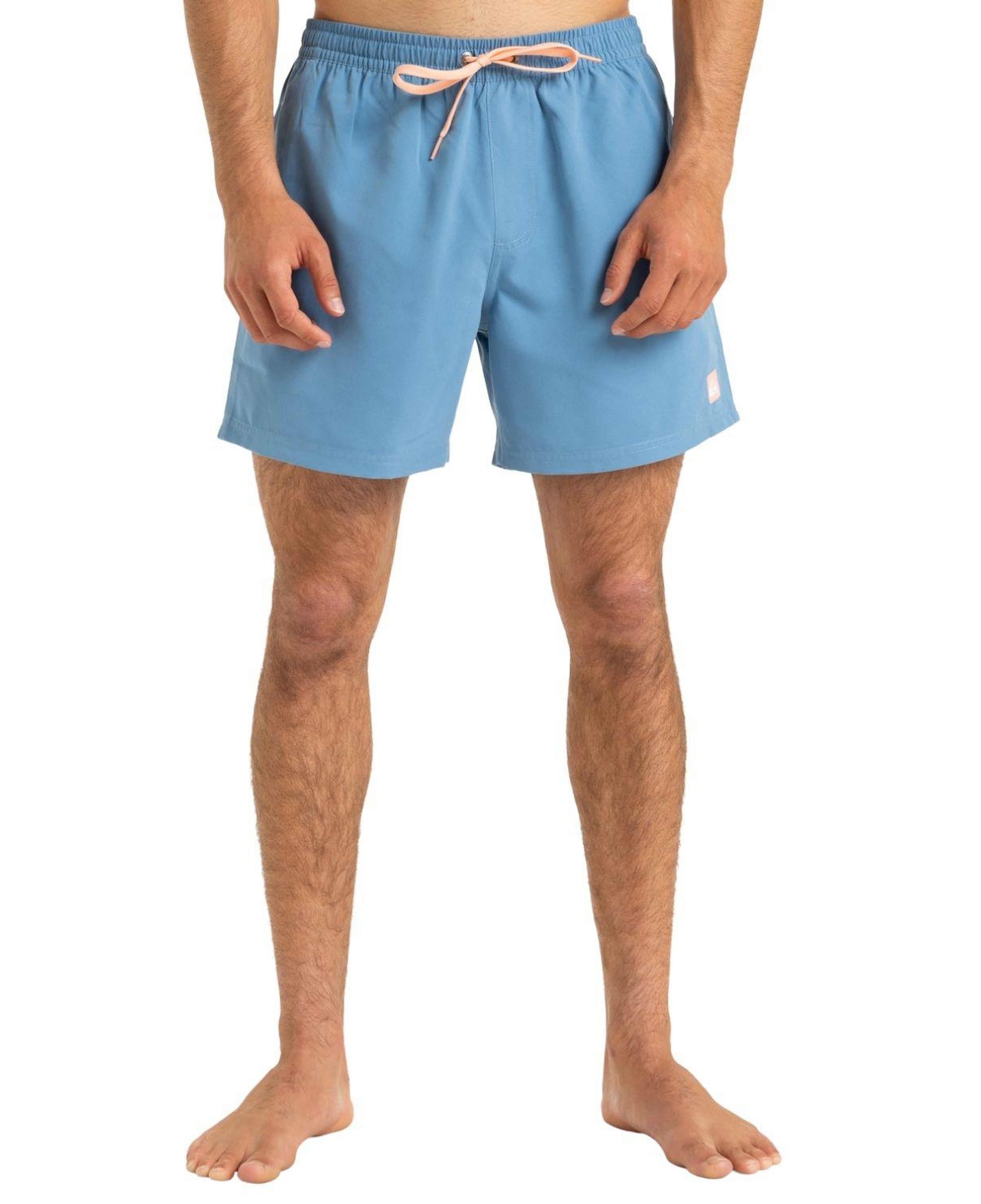Quiksilver Everyday 15 Erkek Mavi Volley Short