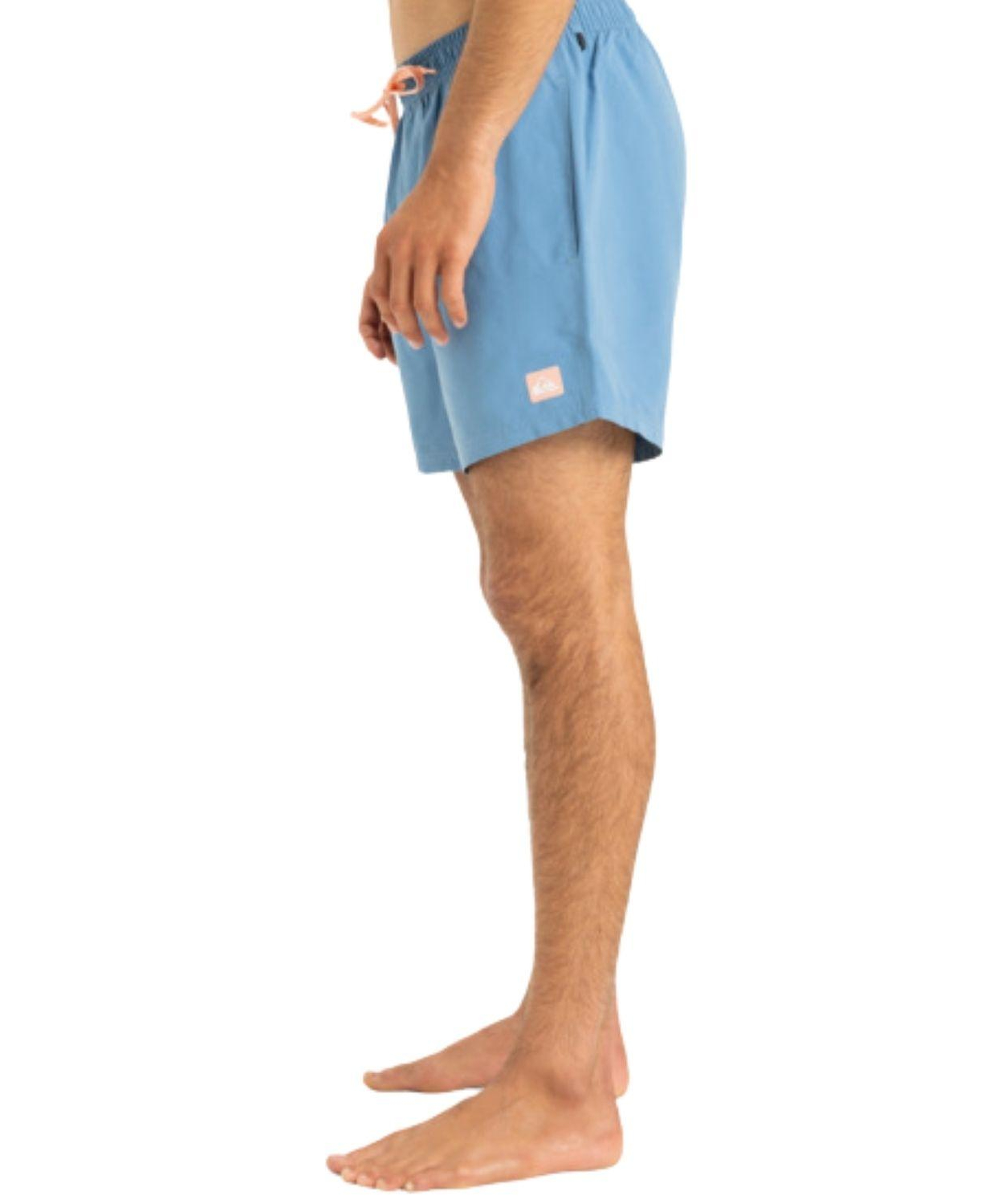 Quiksilver Everyday 15 Erkek Mavi Volley Short