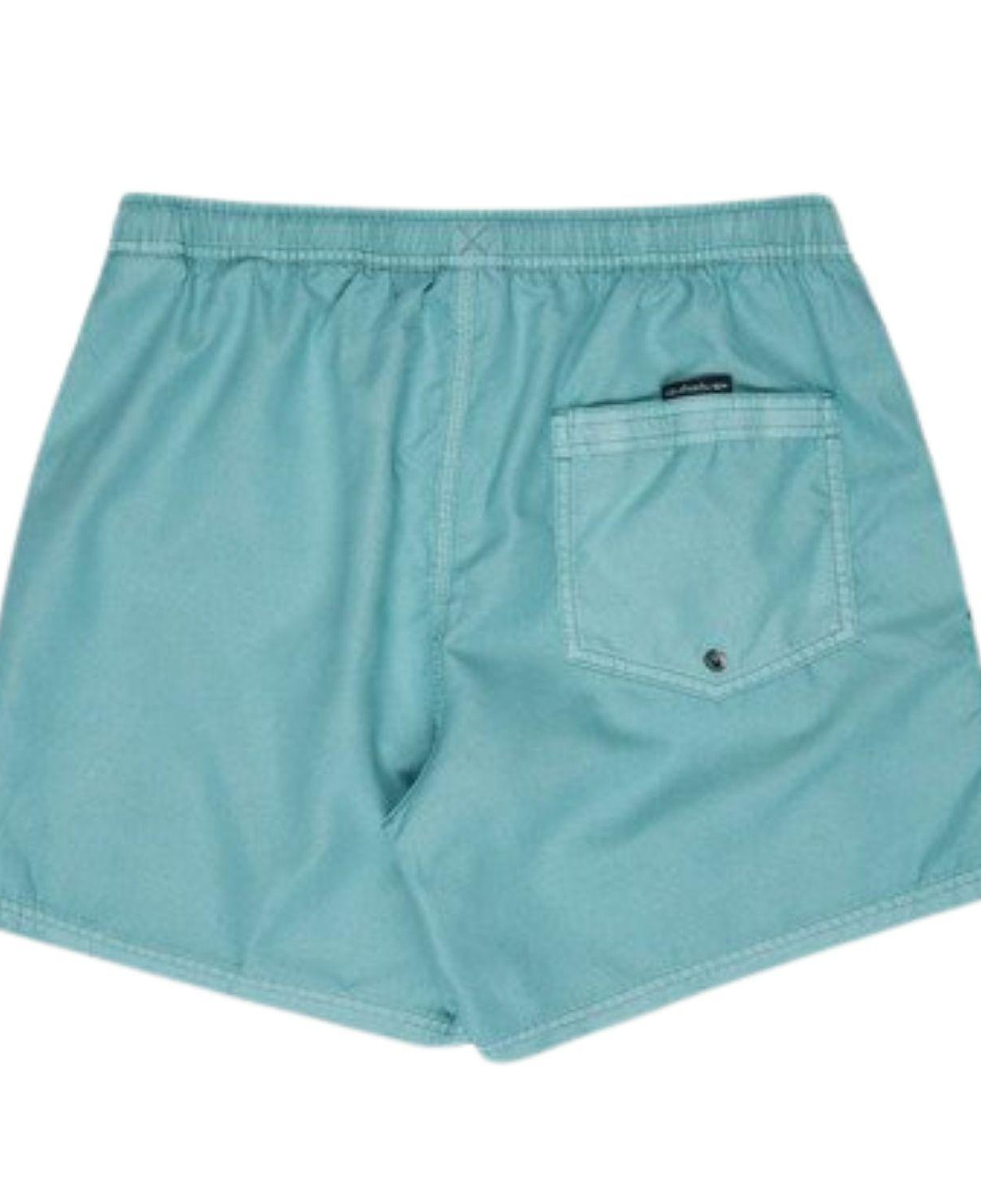 Quiksilver Everyday Erkek Mavi Volley Short