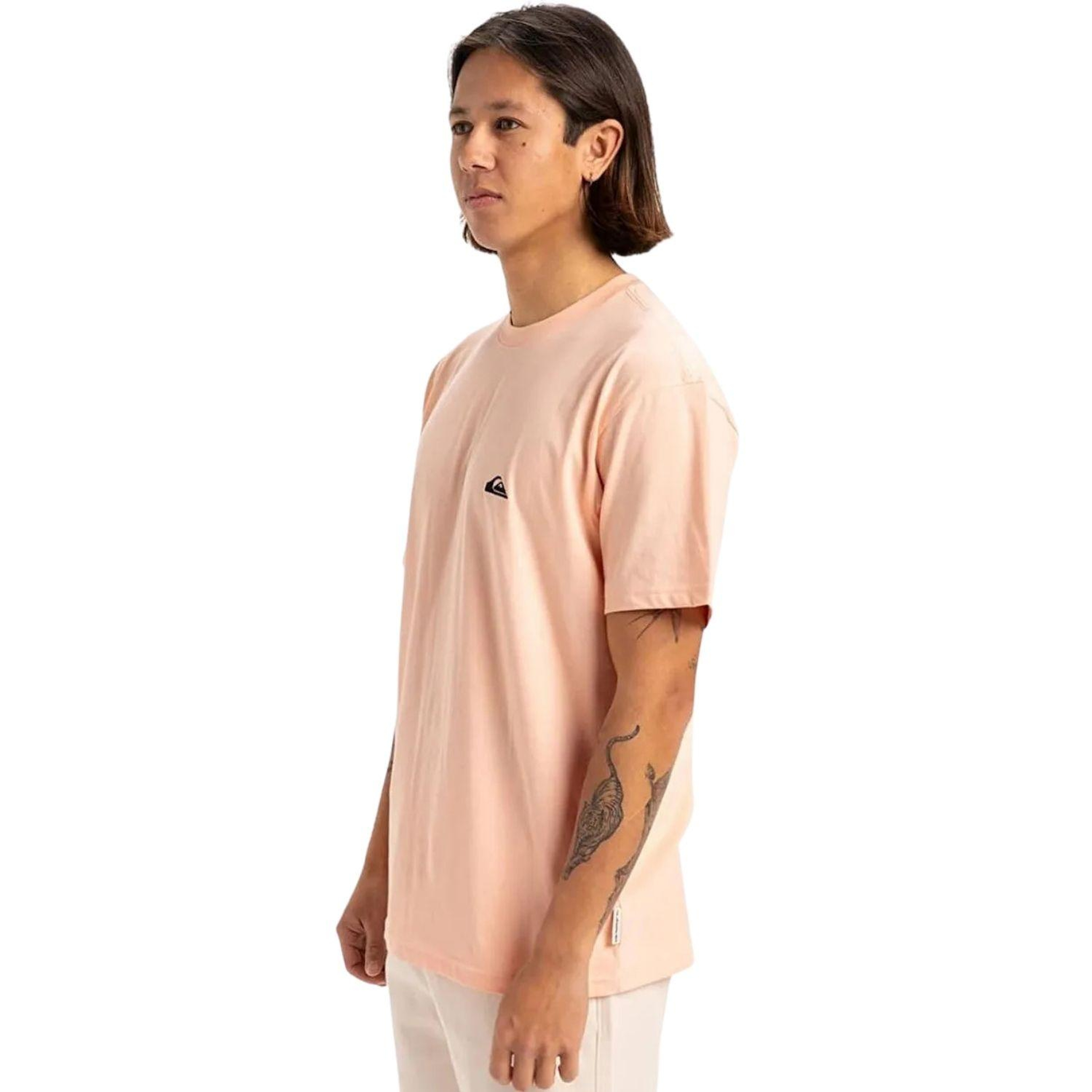 Quiksilver Basicscreenssym Erkek Tişört