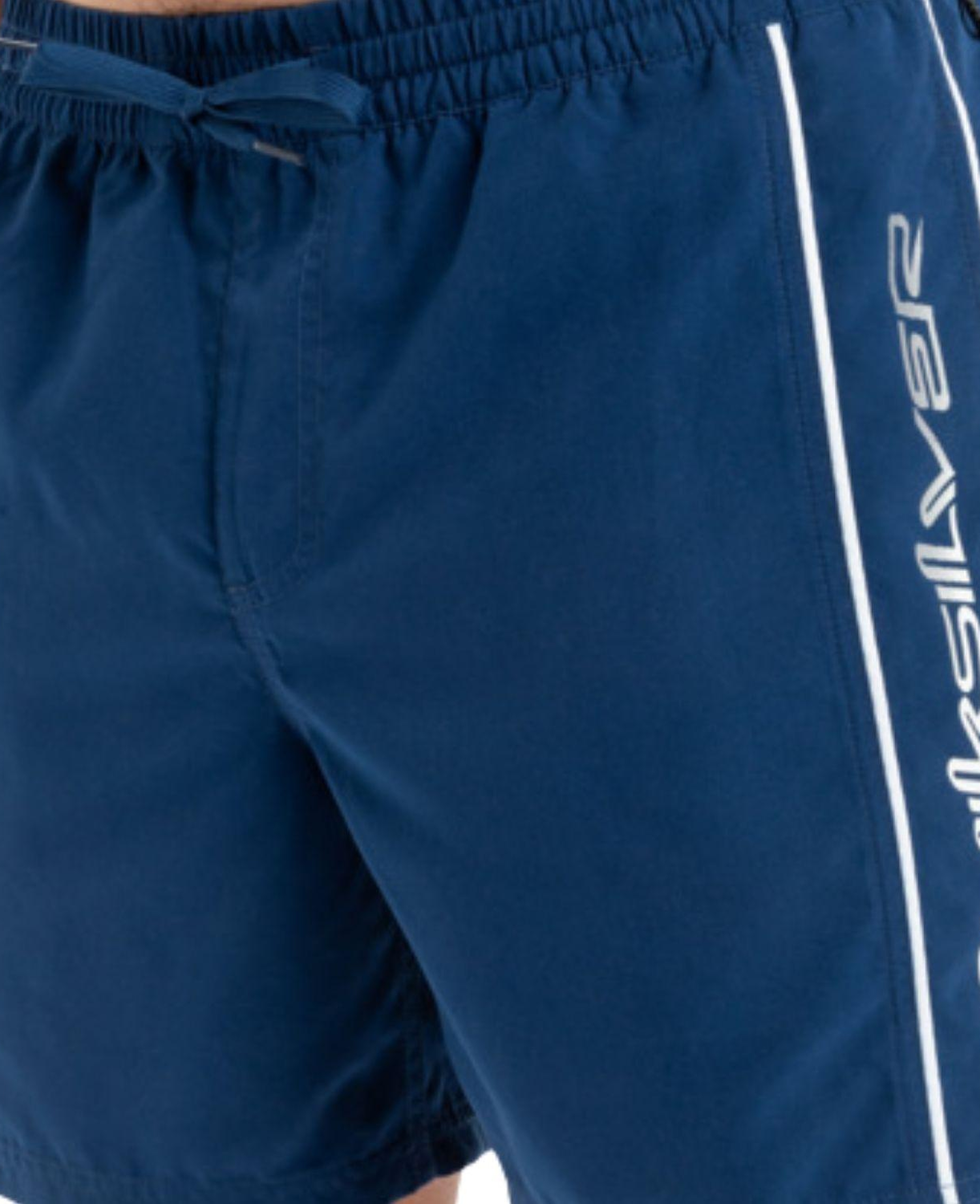 Quiksilver Everyday Vert Volley 16 Erkek Volley