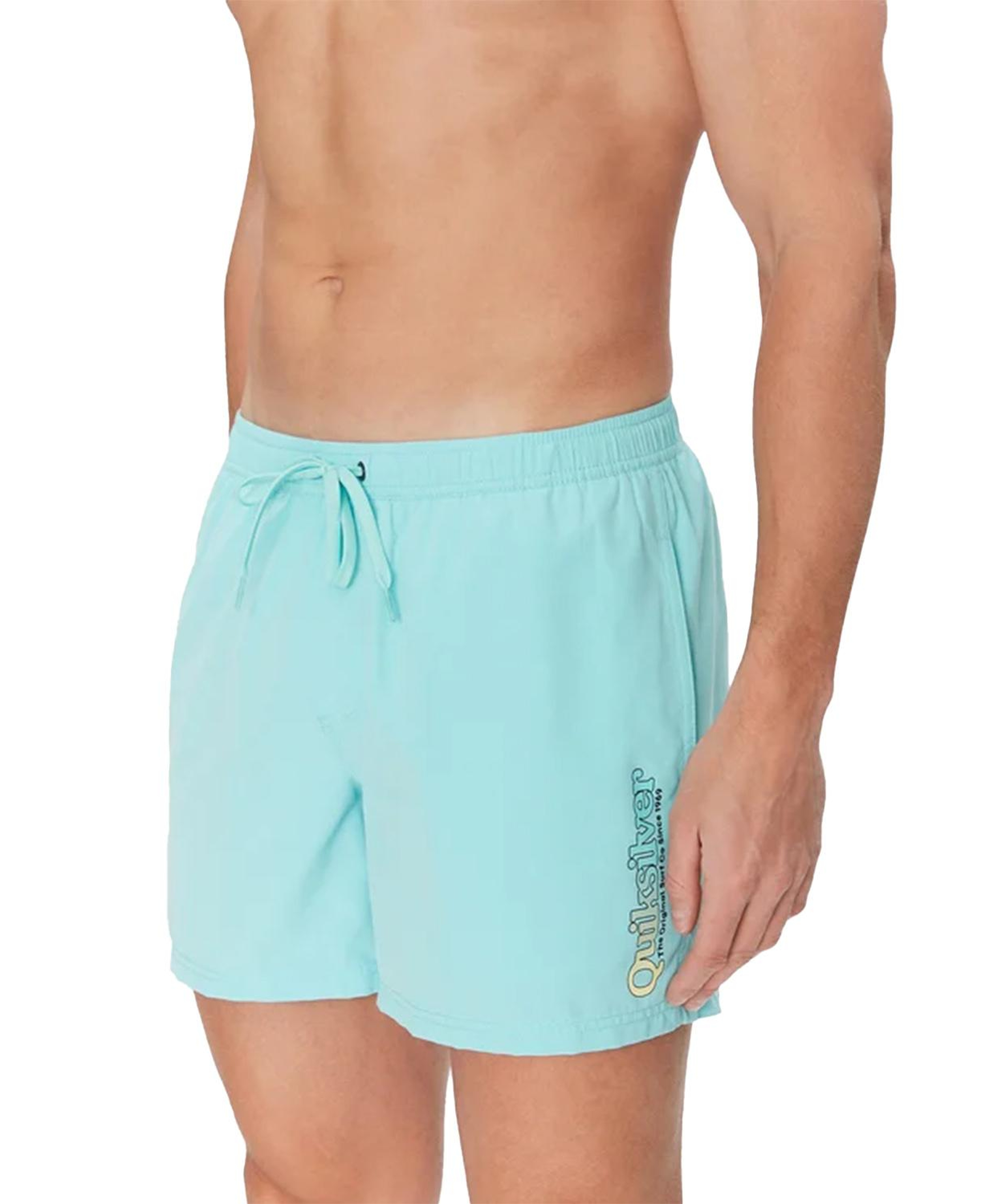 Quiksilver Spl Fineline Volley 15 Erkek Volley
