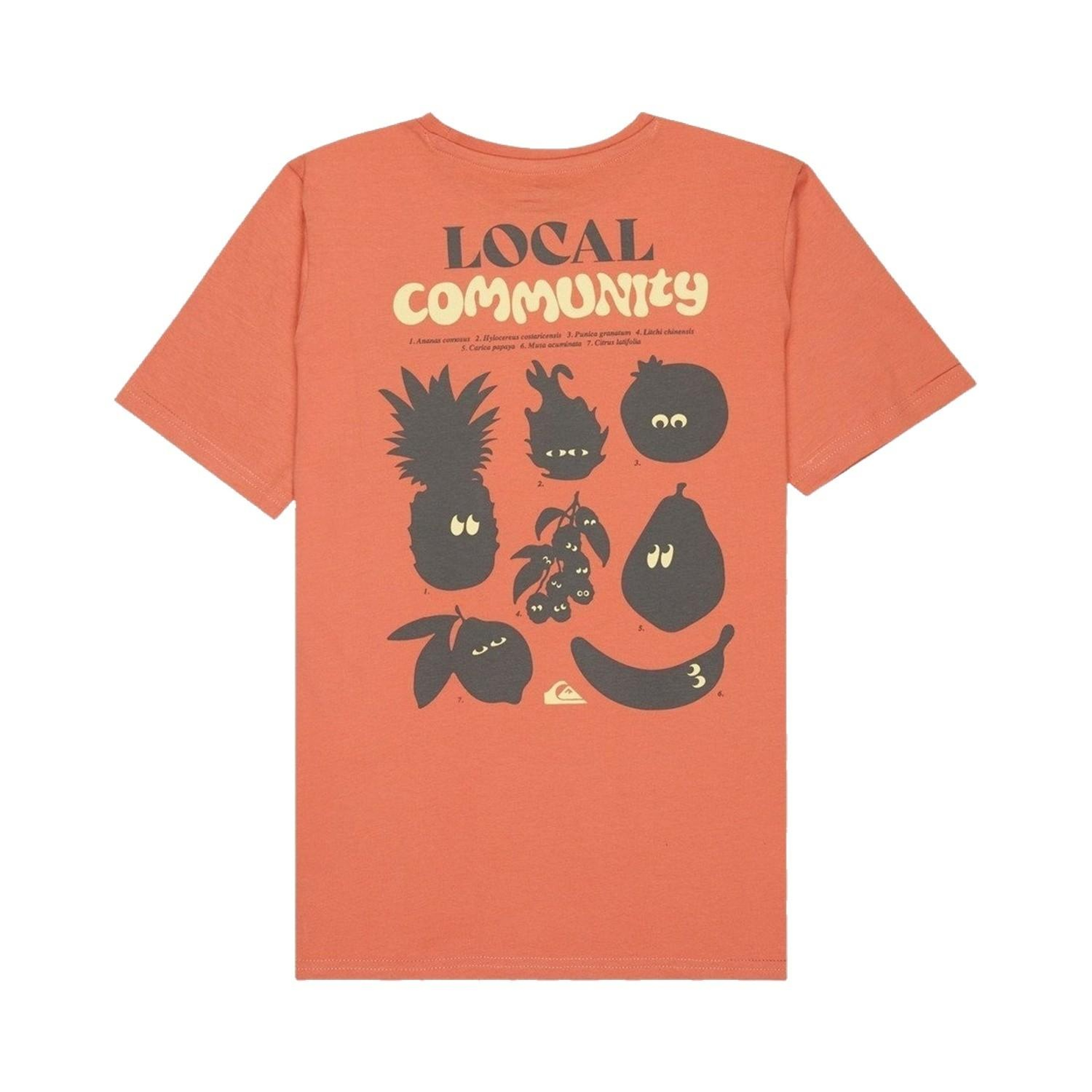 Quiksilver Fruits Tide Erkek Çocuk Pembe Tişört