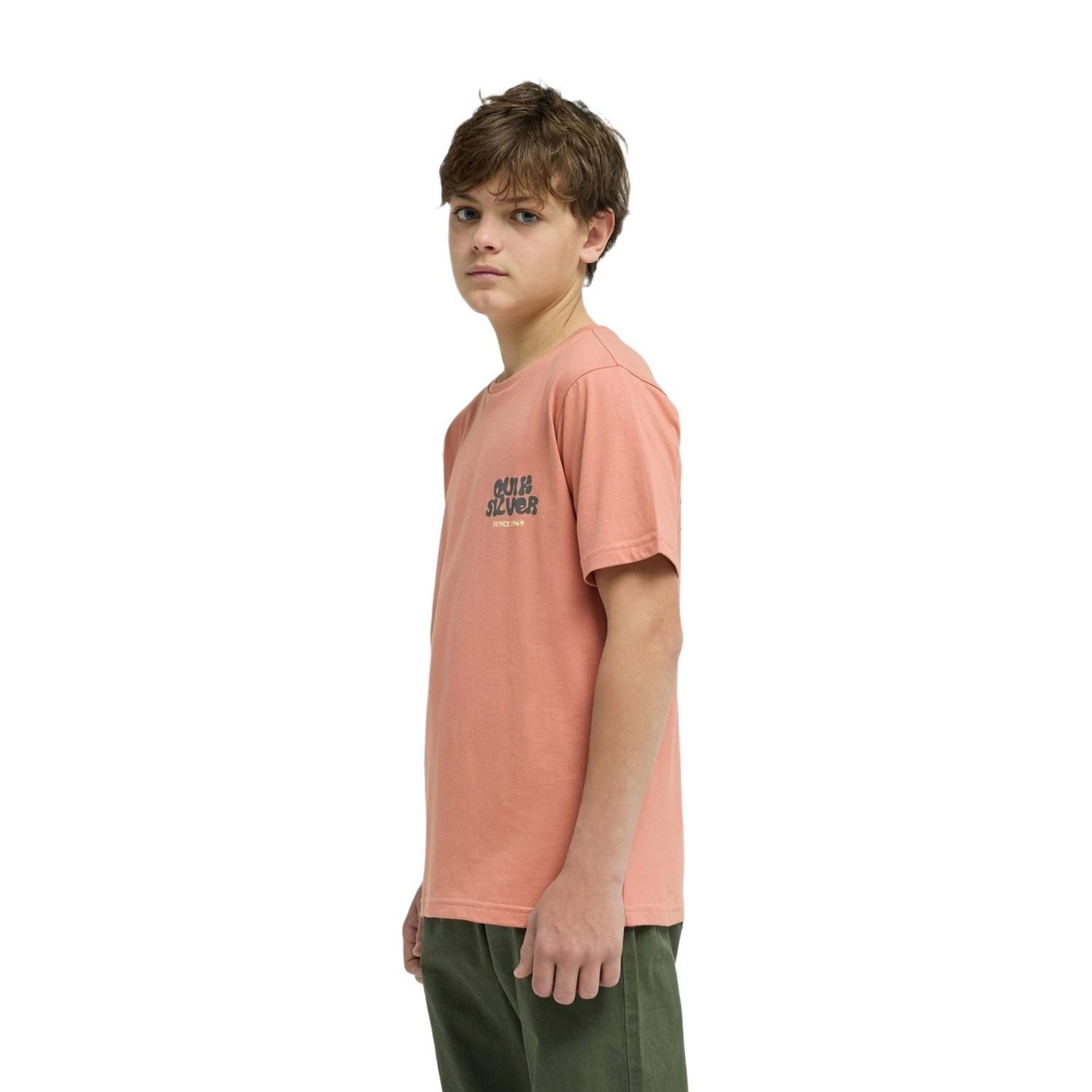 Quiksilver Fruits Tide Erkek Çocuk Pembe Tişört