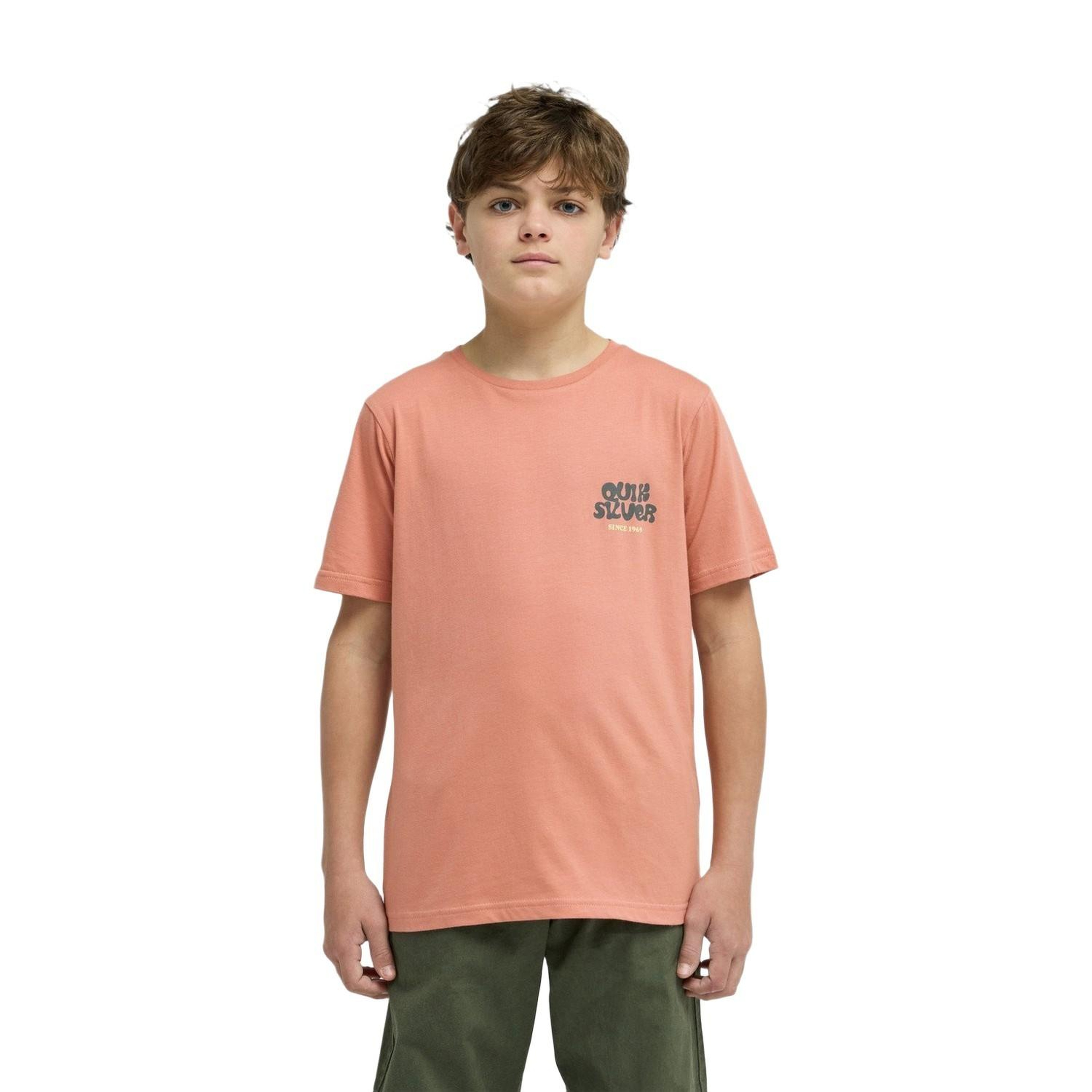 Quiksilver Fruits Tide Erkek Çocuk Pembe Tişört