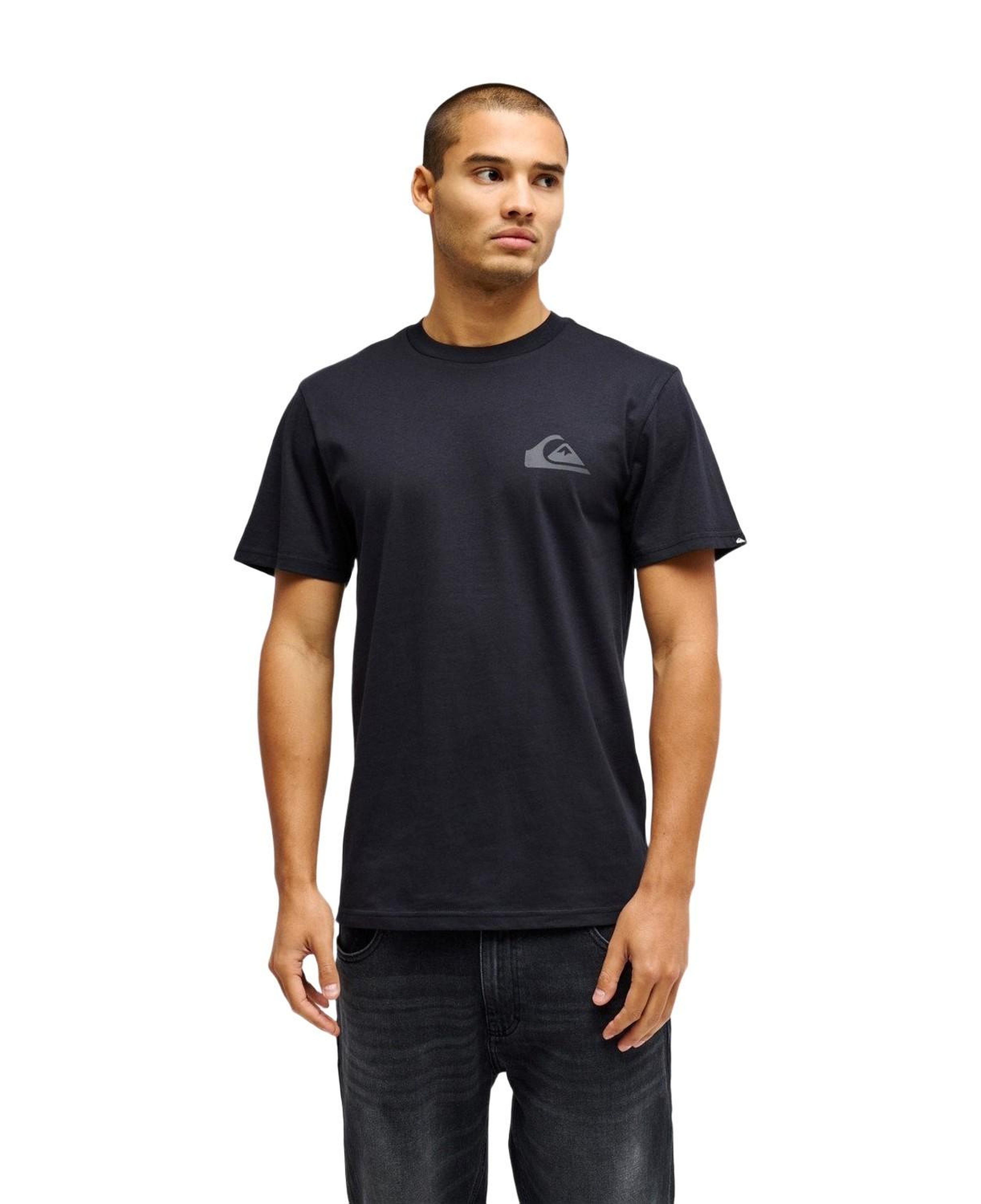 Quiksilver Ev Mini Logo Erkek Tişört