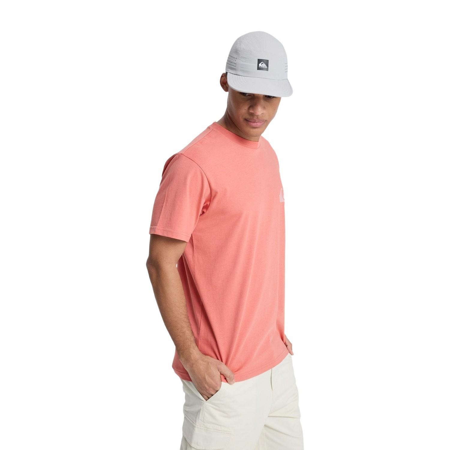 Quiksilver Ev Mini Logo Erkek Pembe Tişört