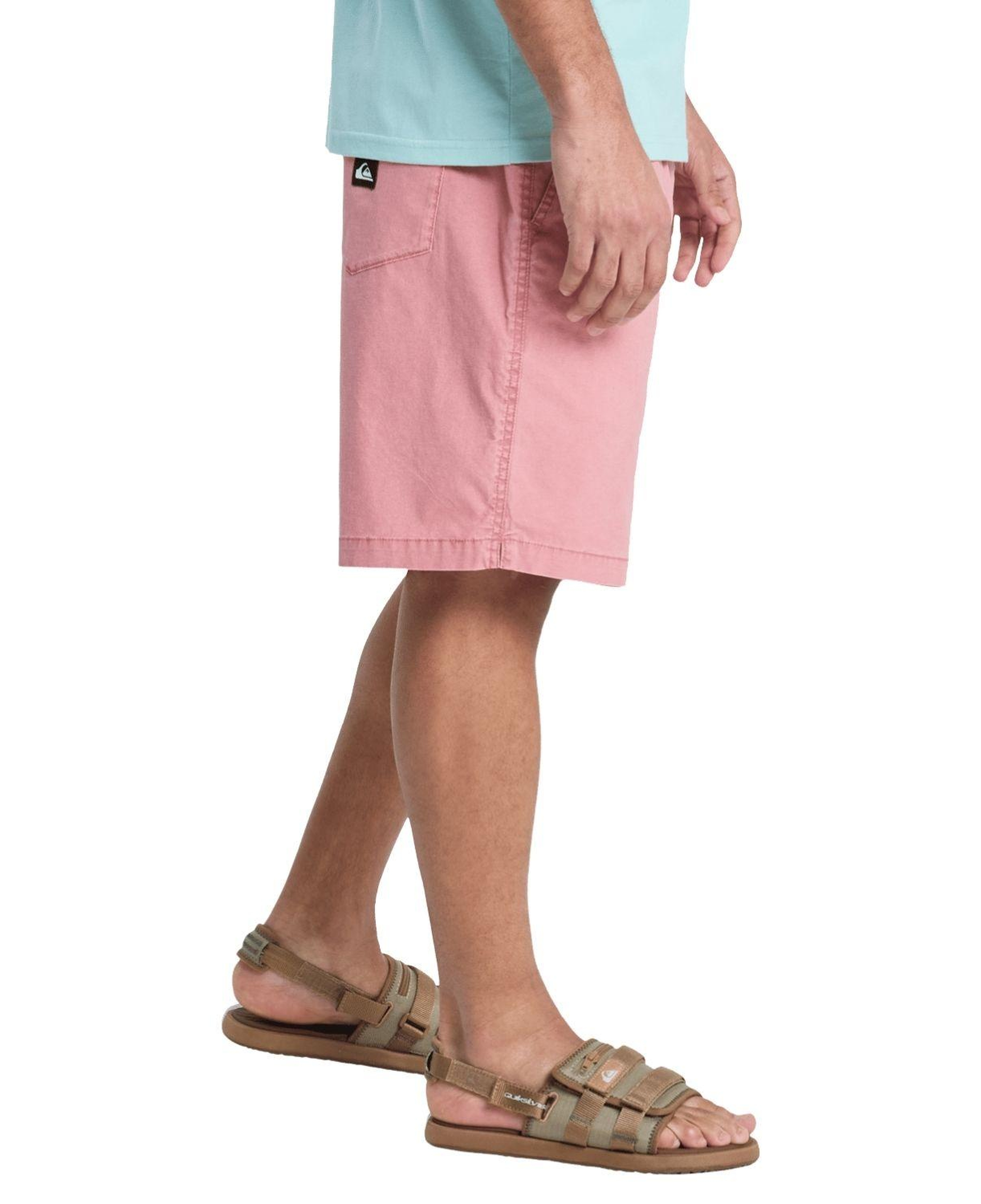 Quiksilver Taxerws Erkek Pembe Şort