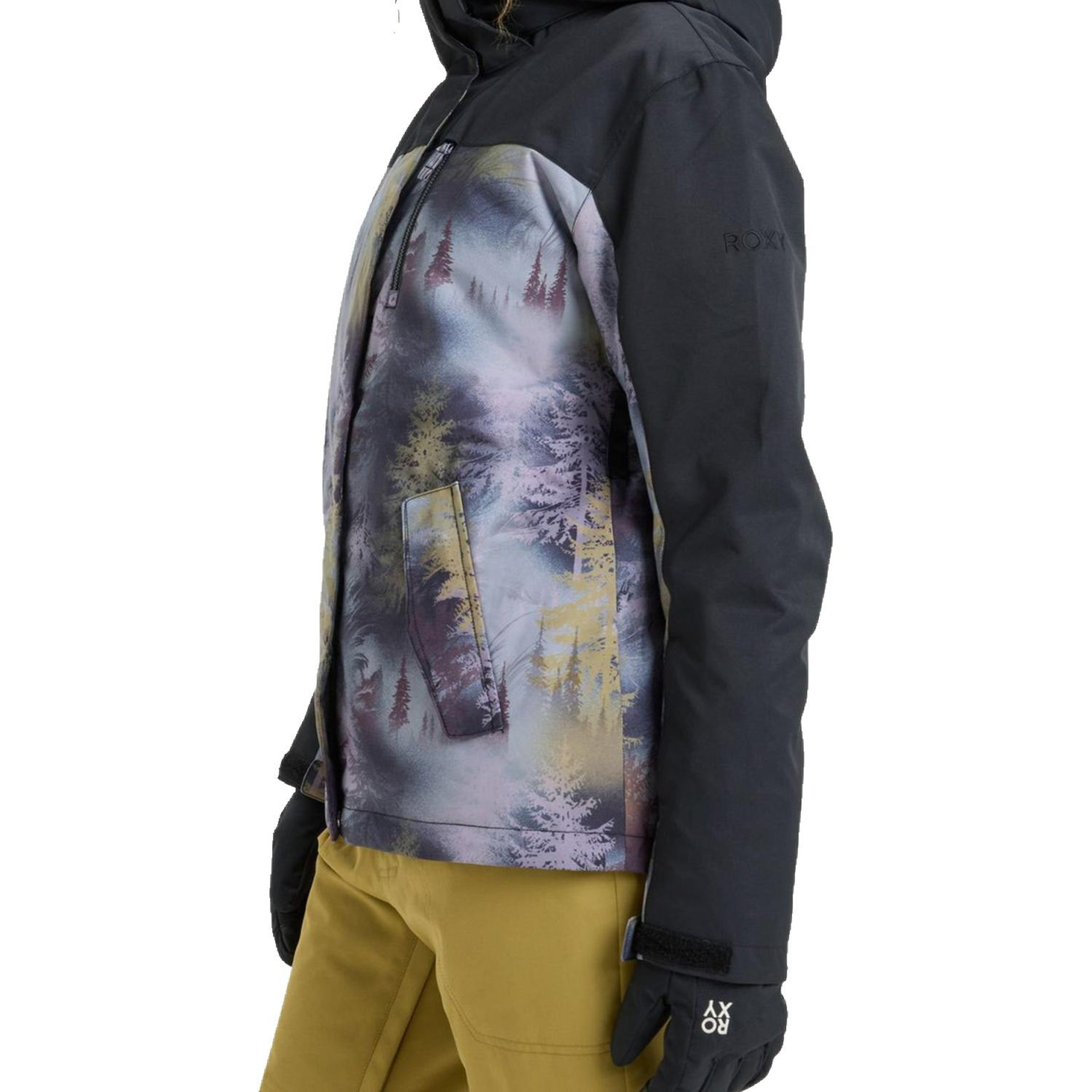 Roxy Jetty Block Kadın Snowboard Ceketi