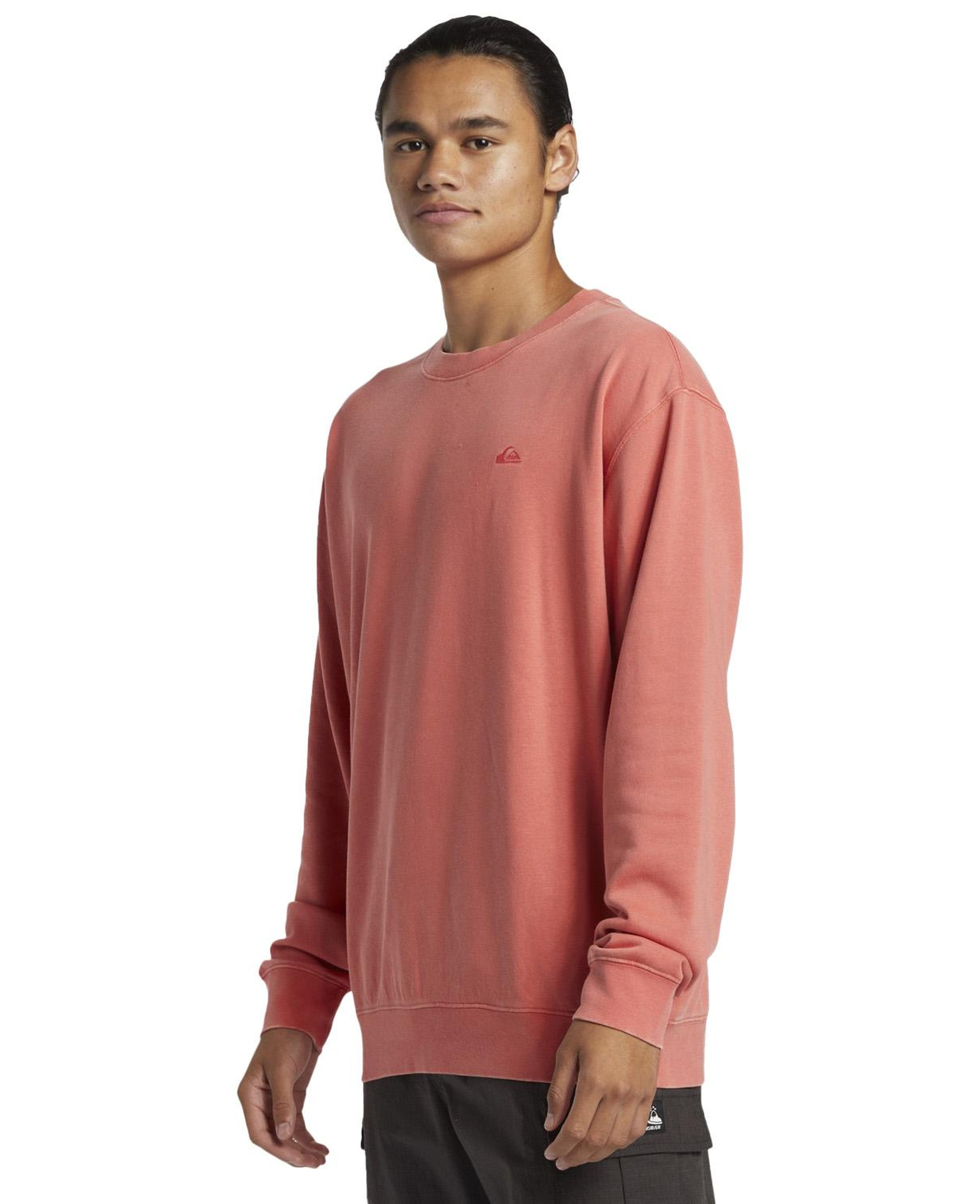 Quiksilver Salt Water Crew Erkek Sweatshirt