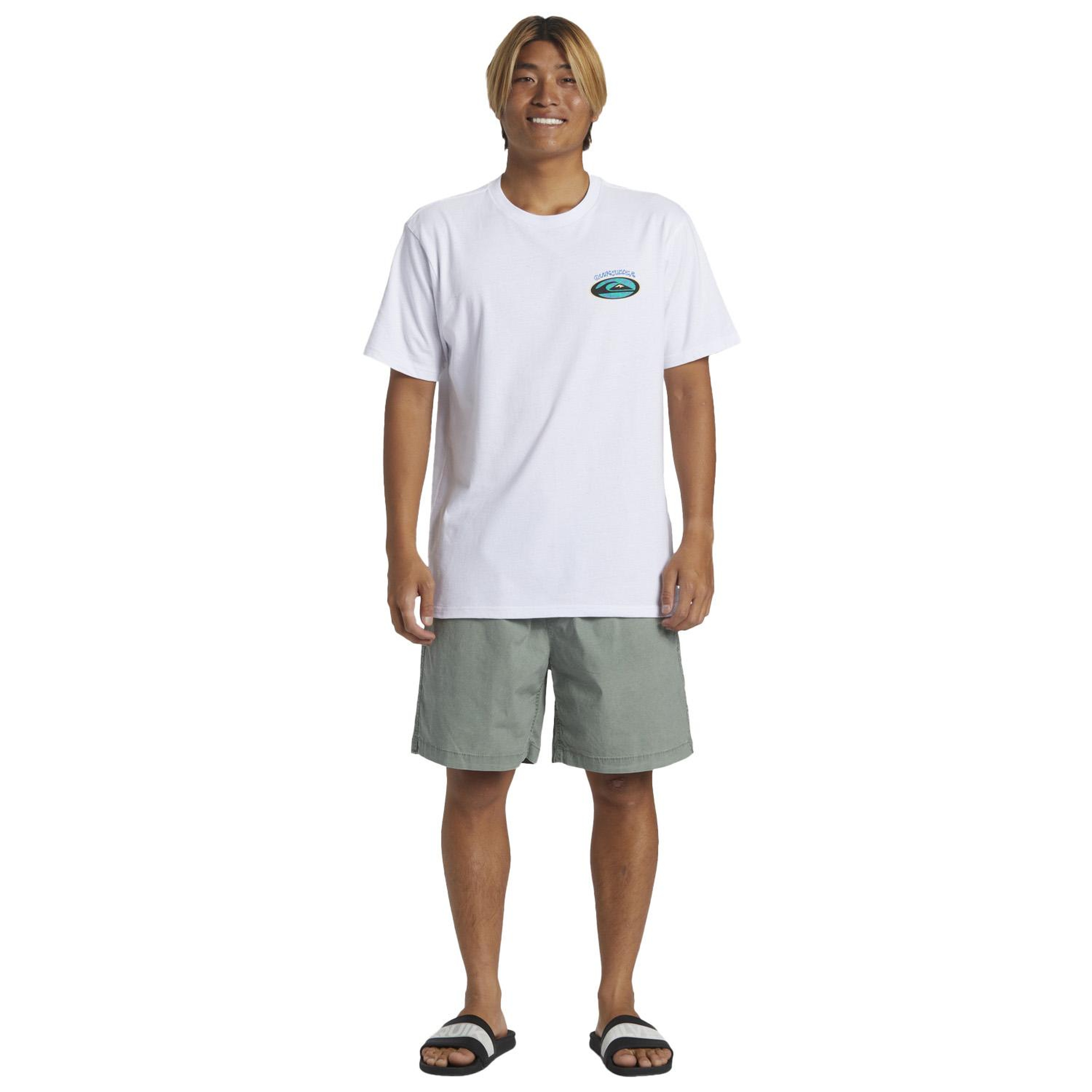 Quiksilver Taxer Erkek Walkshort