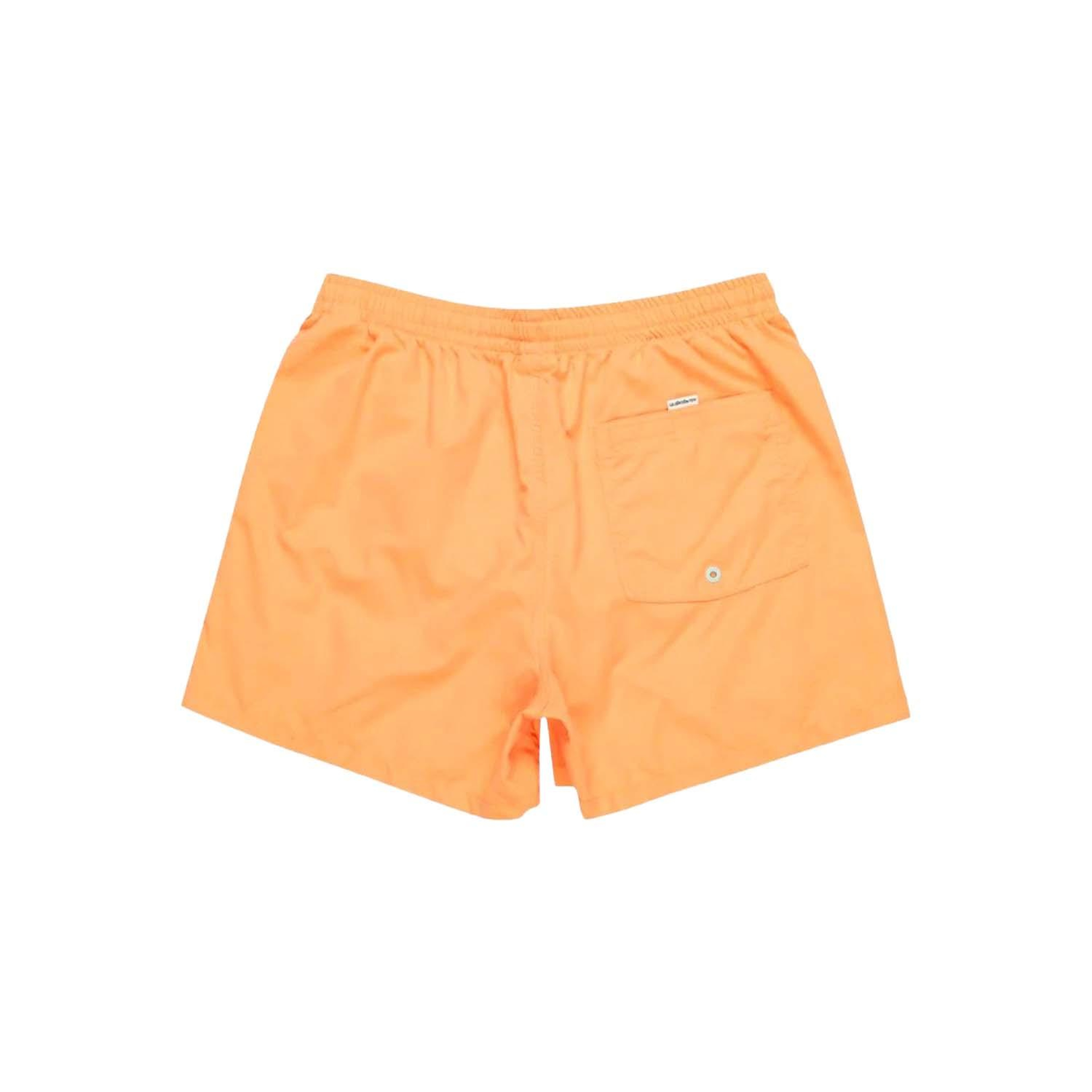 Quiksilver Behind Waves Erkek Volley