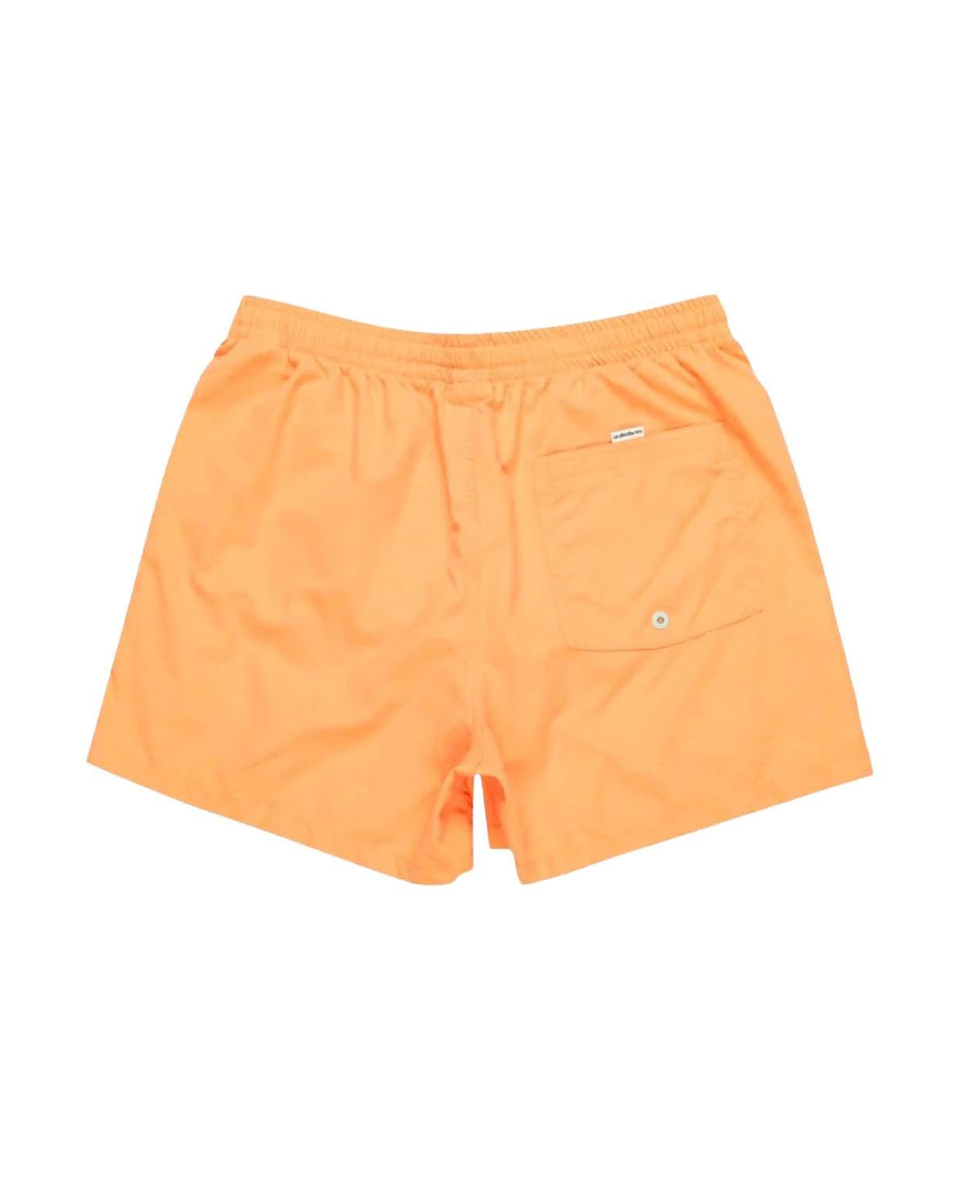 Quiksilver Behind Waves Erkek Volley