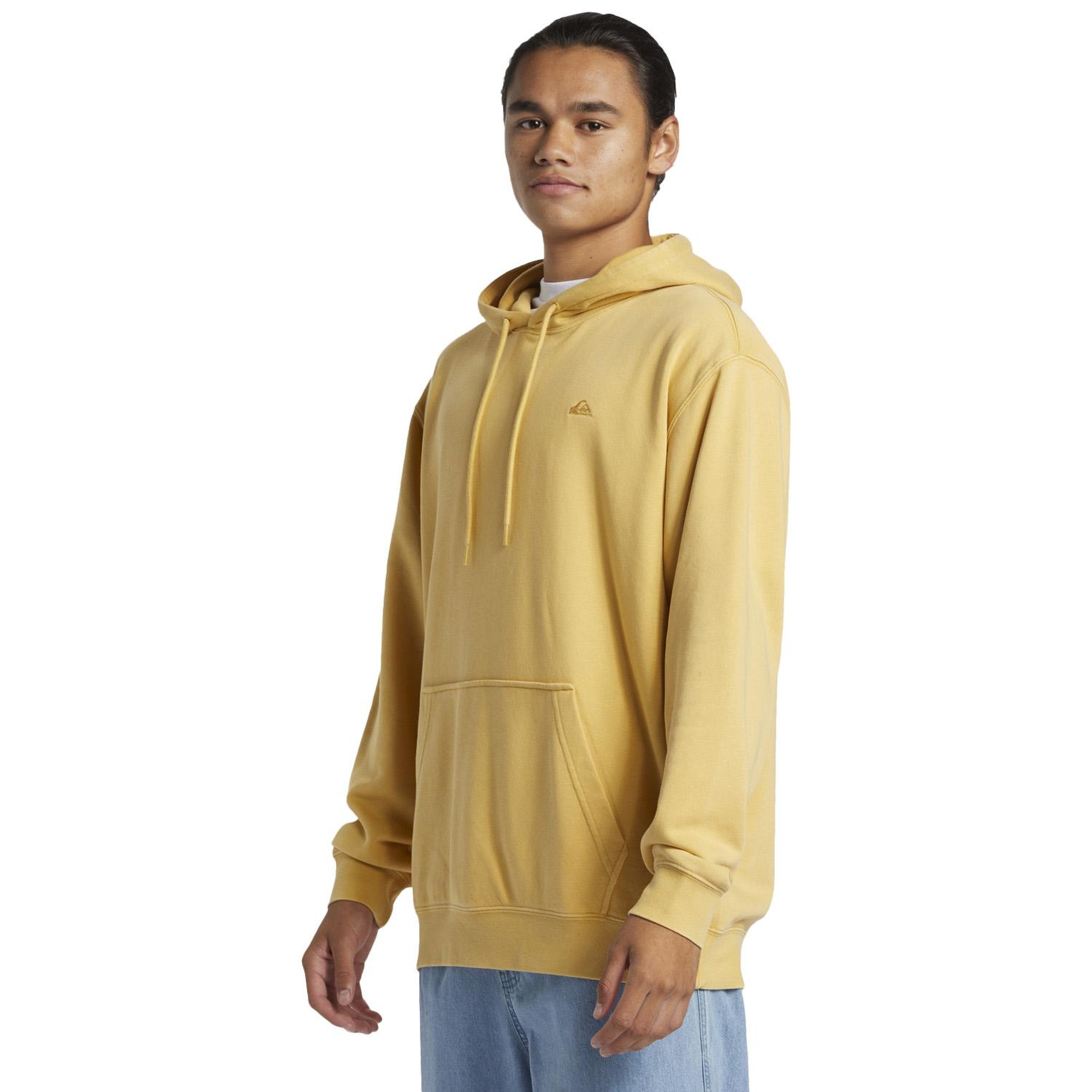 Quiksilver Salt Water Hoodie Erkek Sweatshirt