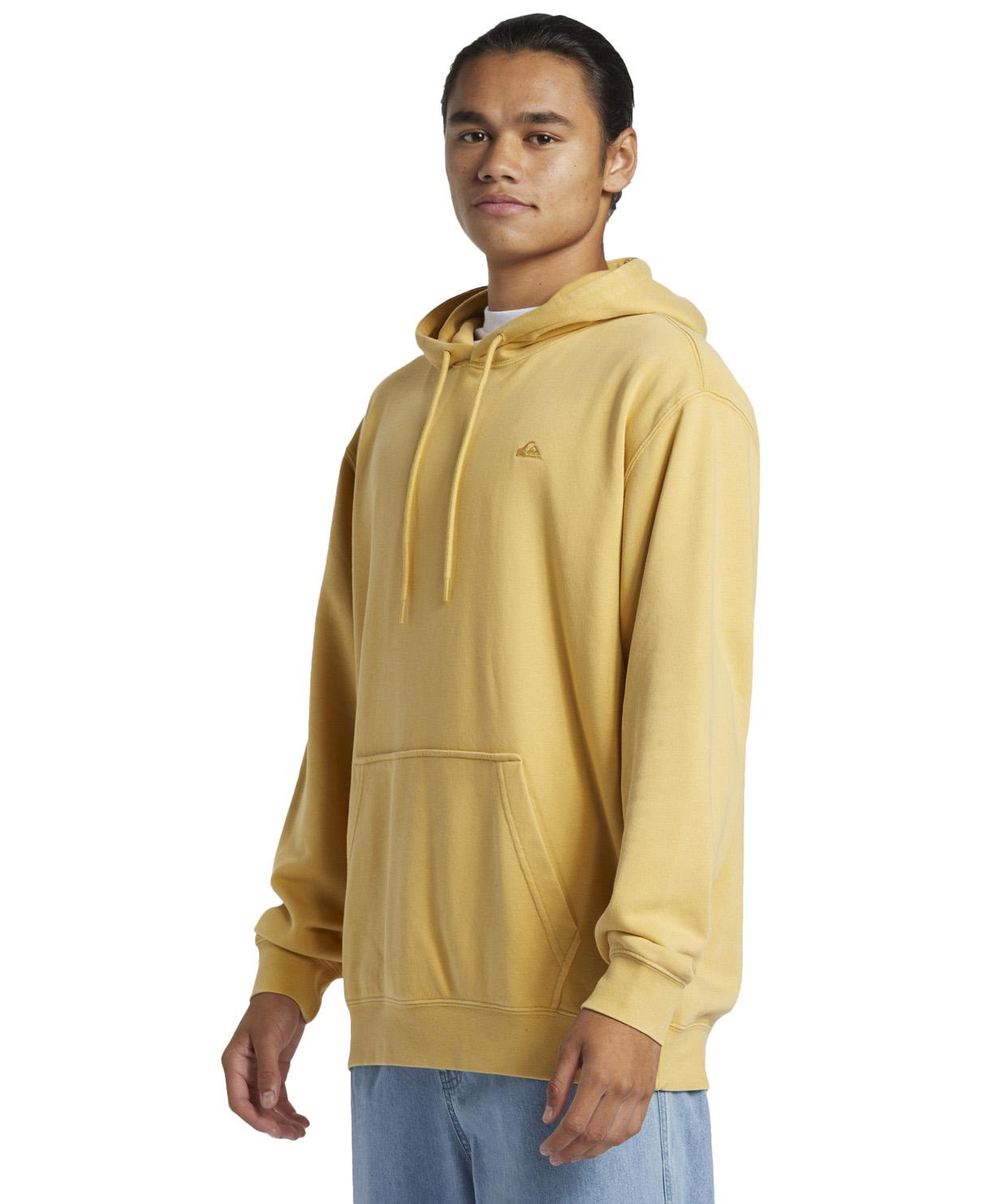 Quiksilver Salt Water Hoodie Erkek Sweatshirt