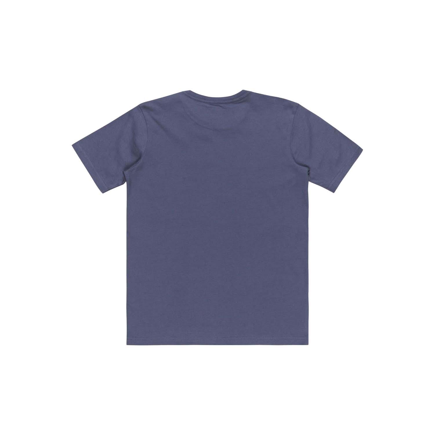 Quiksilver Neverending Surf Youth Erkek Çocuk Tişört