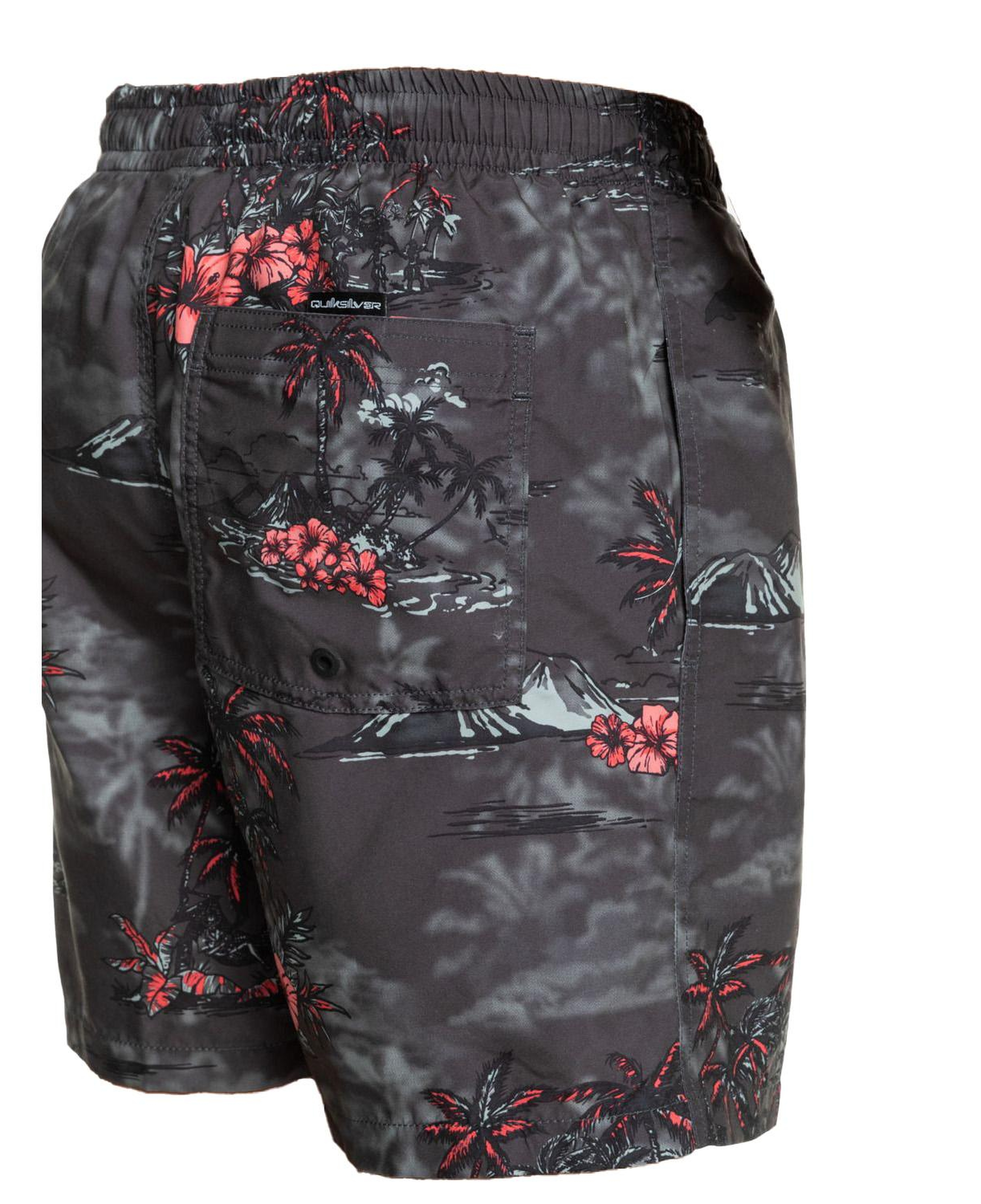 Quiksilver Longmanhill Volley Erkek Volley