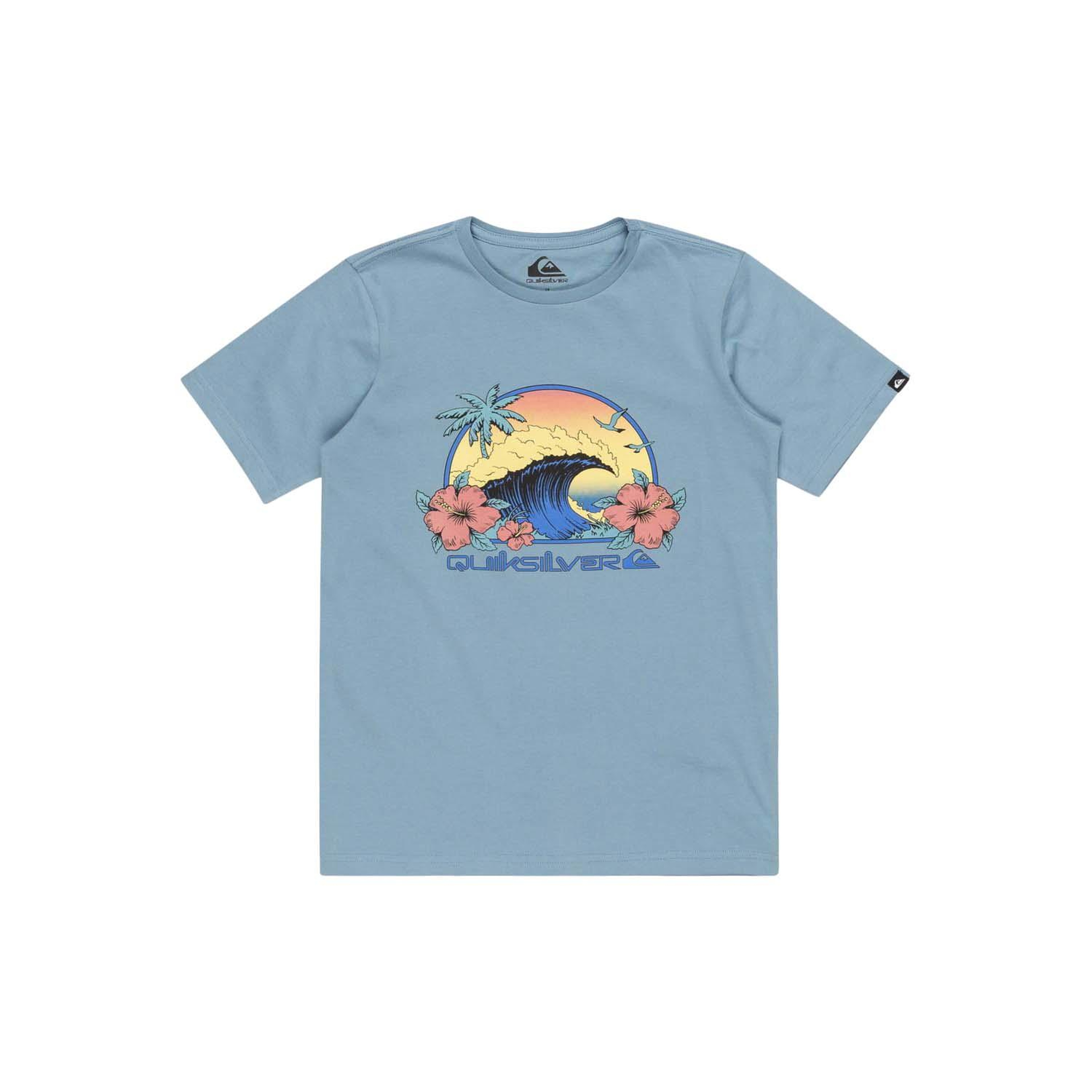 Quiksilver Riding Today Youth Erkek Çocuk Tişört