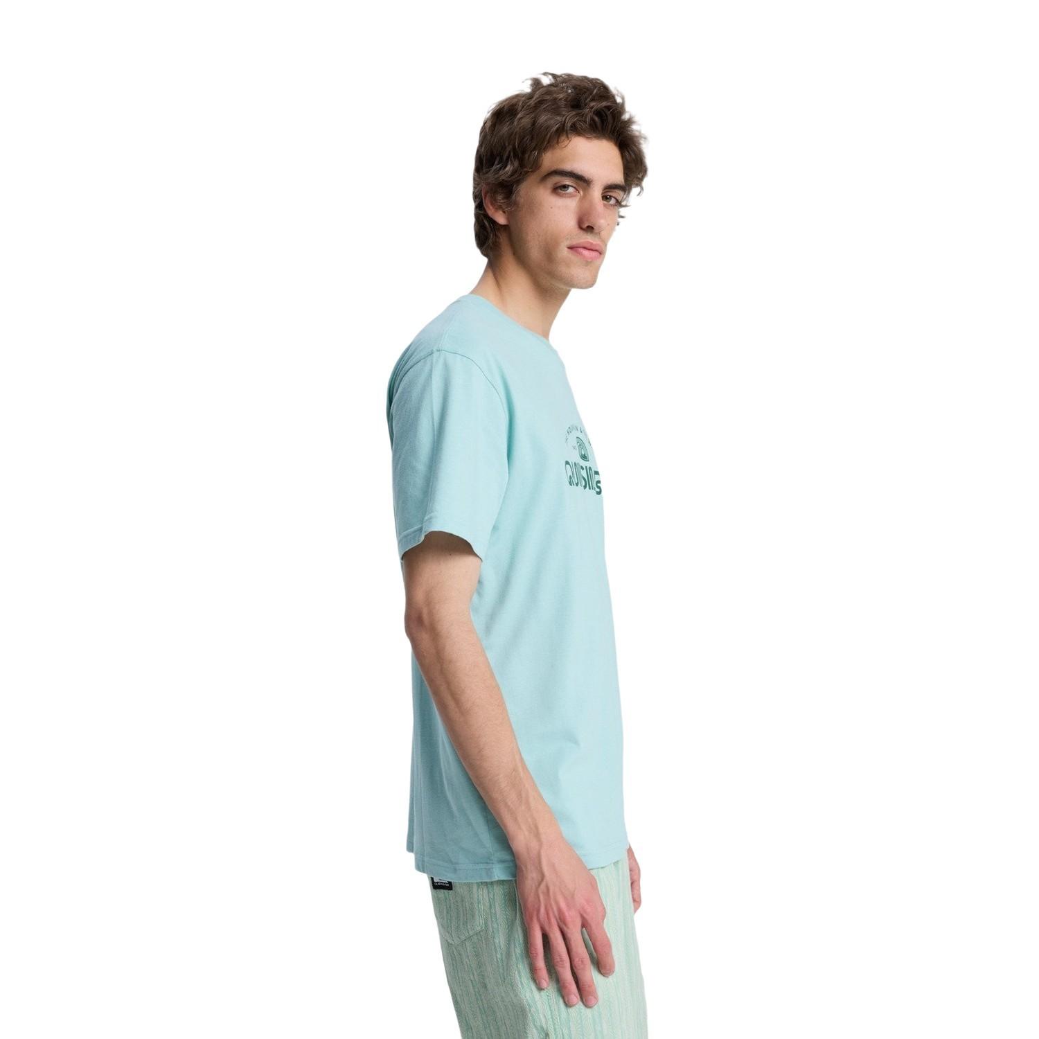 Quiksilver Ev Vista Erkek Tişört