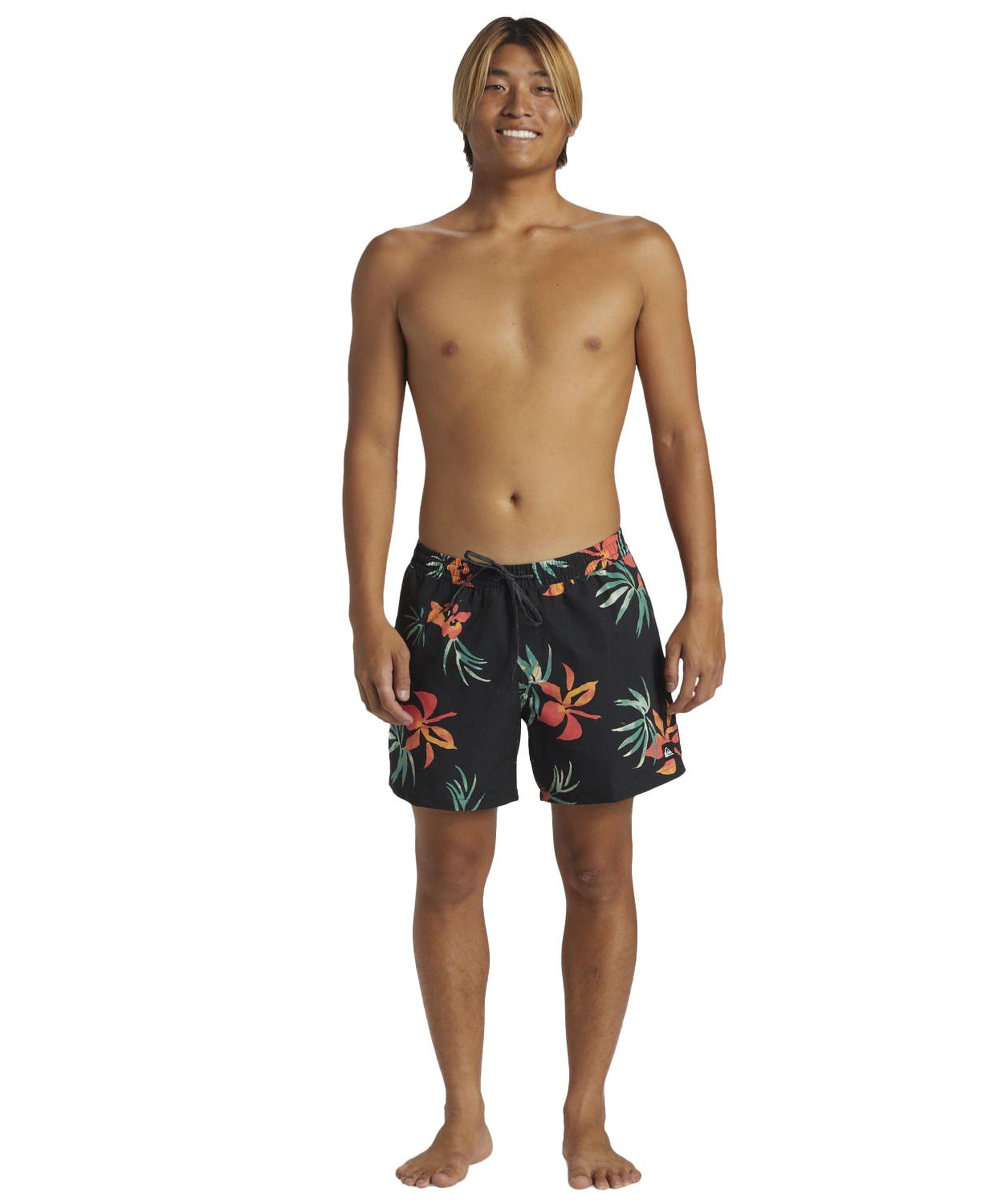 Quiksilver Everyday Mix Volley 15 Erkek Siyah Volley Short