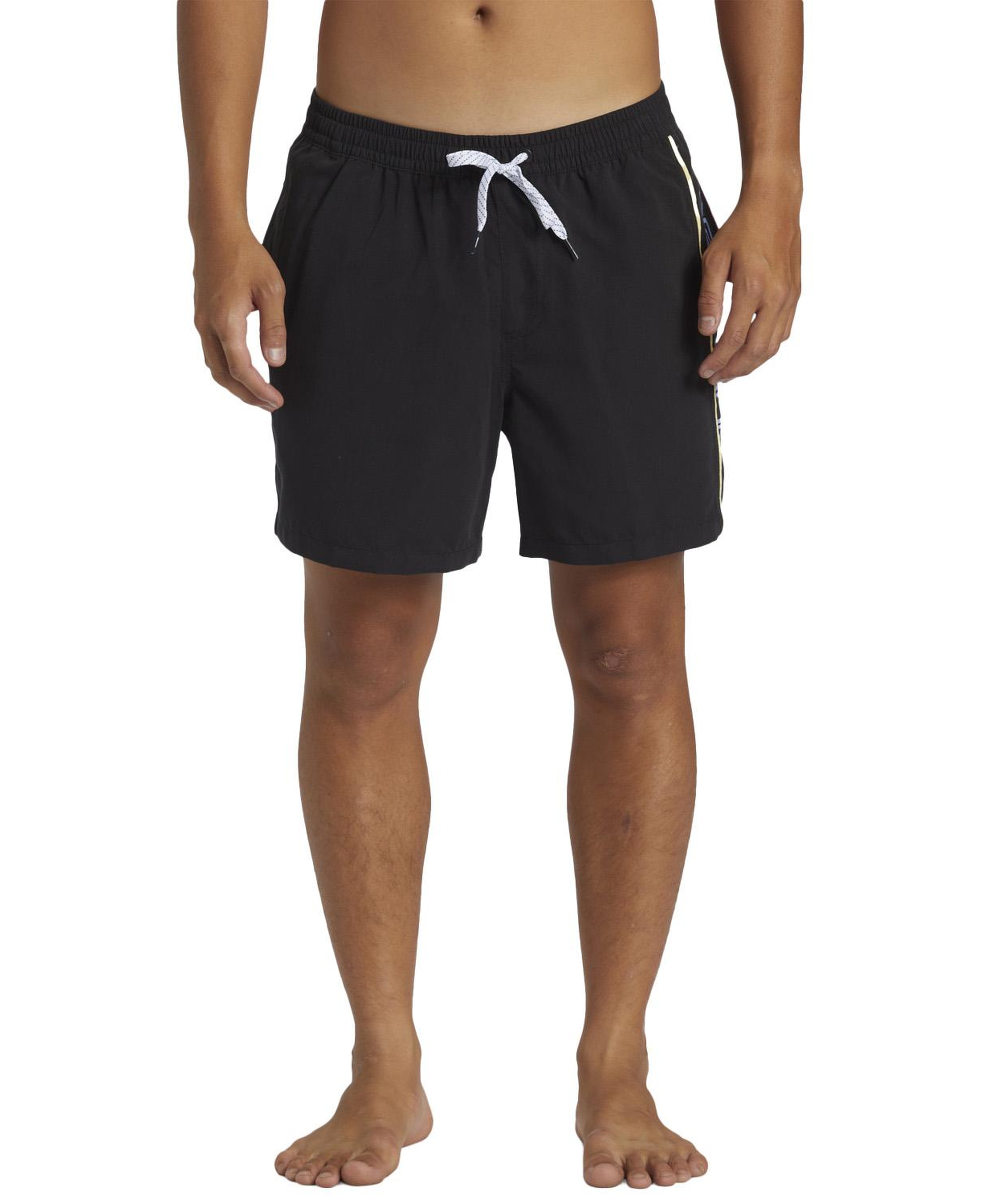 Quiksilver Everyday Vert Volley 16 Erkek Volley