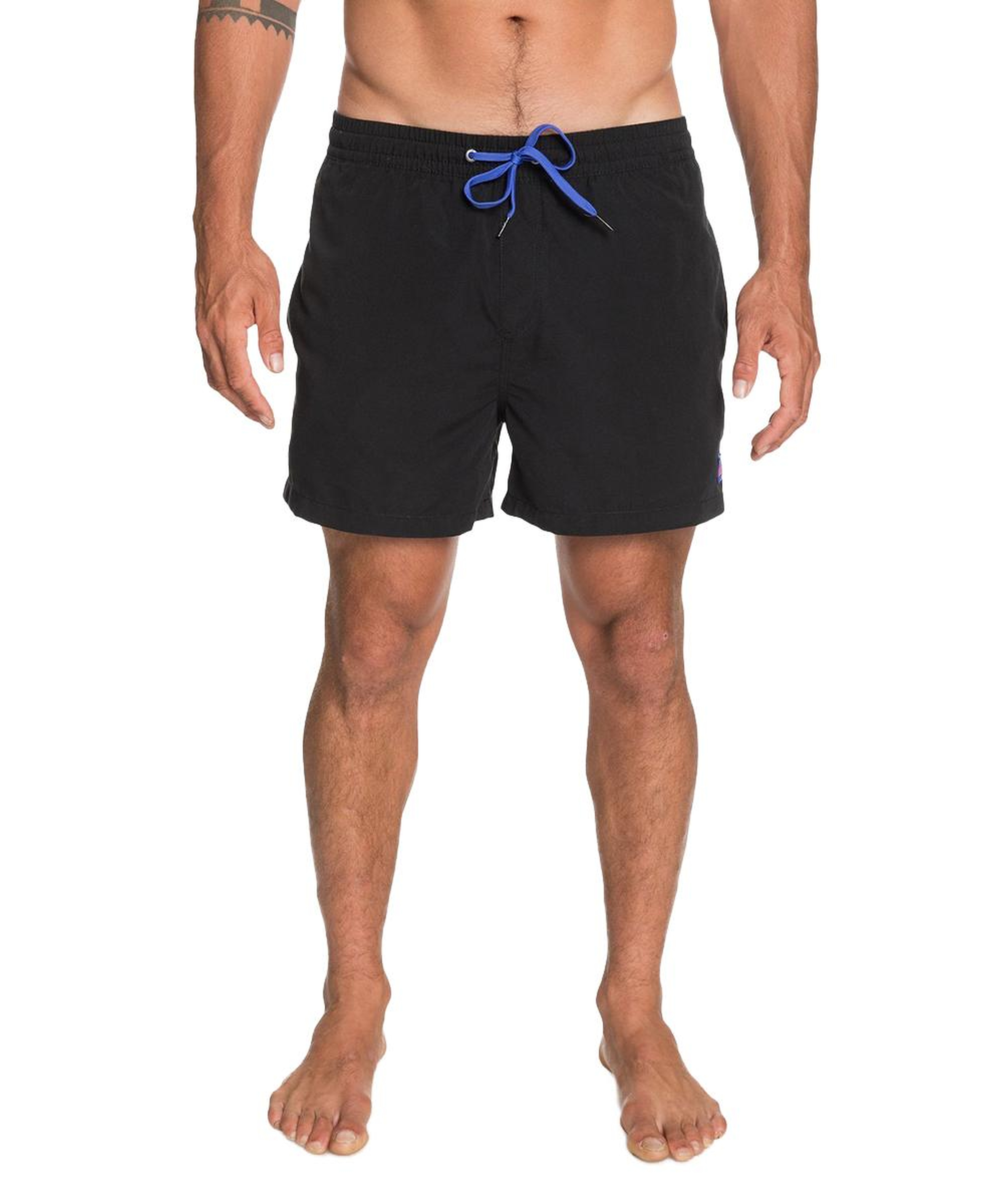 Quiksilver Everyday 15 Jamv Erkek Siyah Volley Short